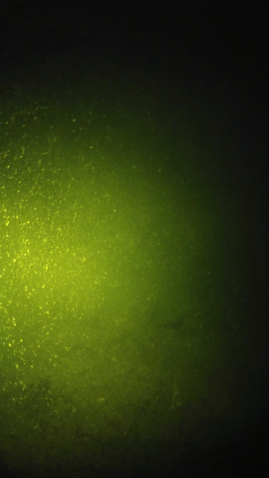 lander_ipcam_20240620203541.png