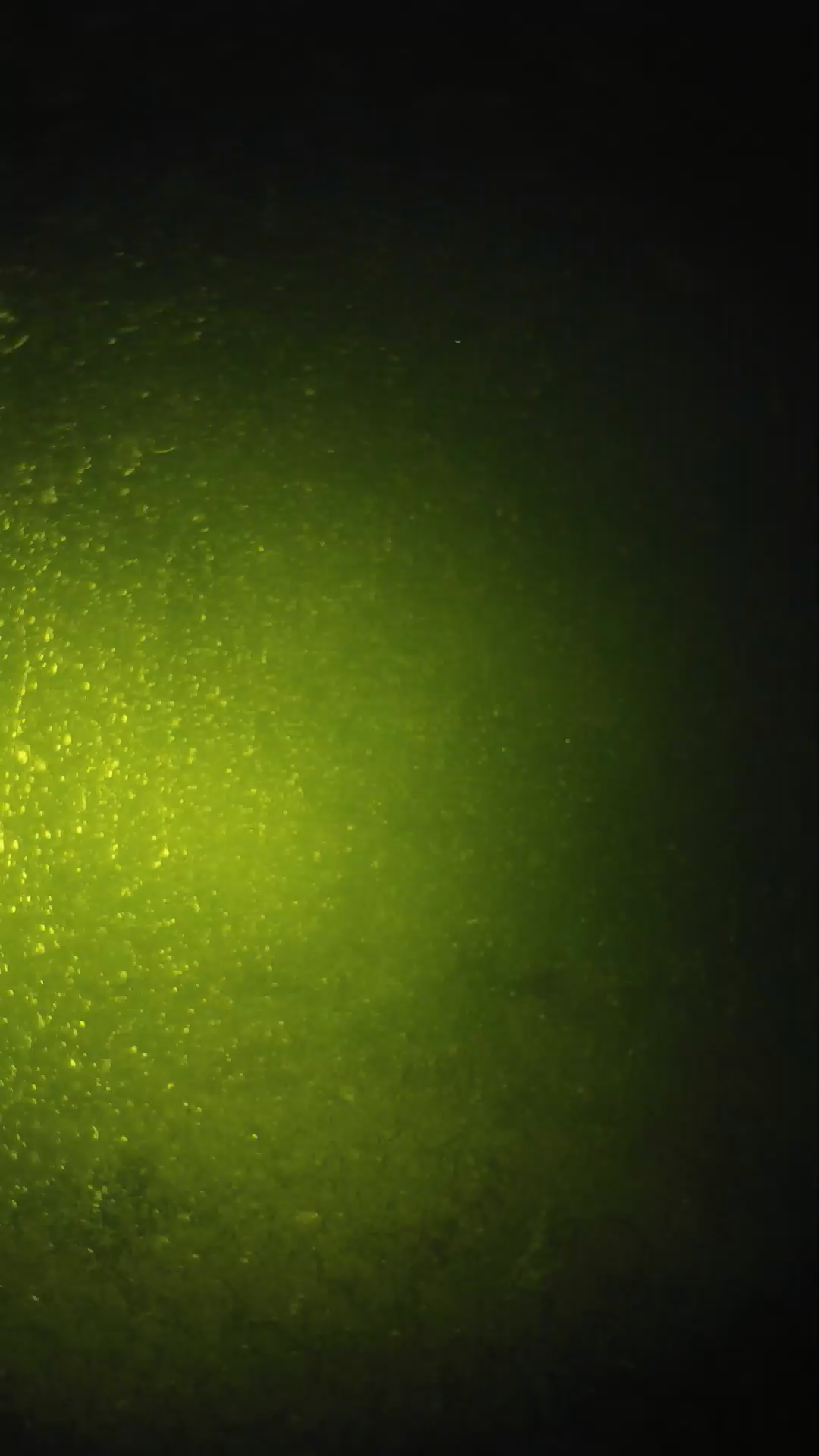 lander_ipcam_20240620203542.png