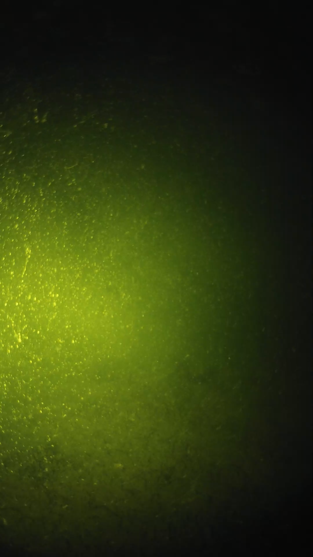lander_ipcam_20240620203543.png