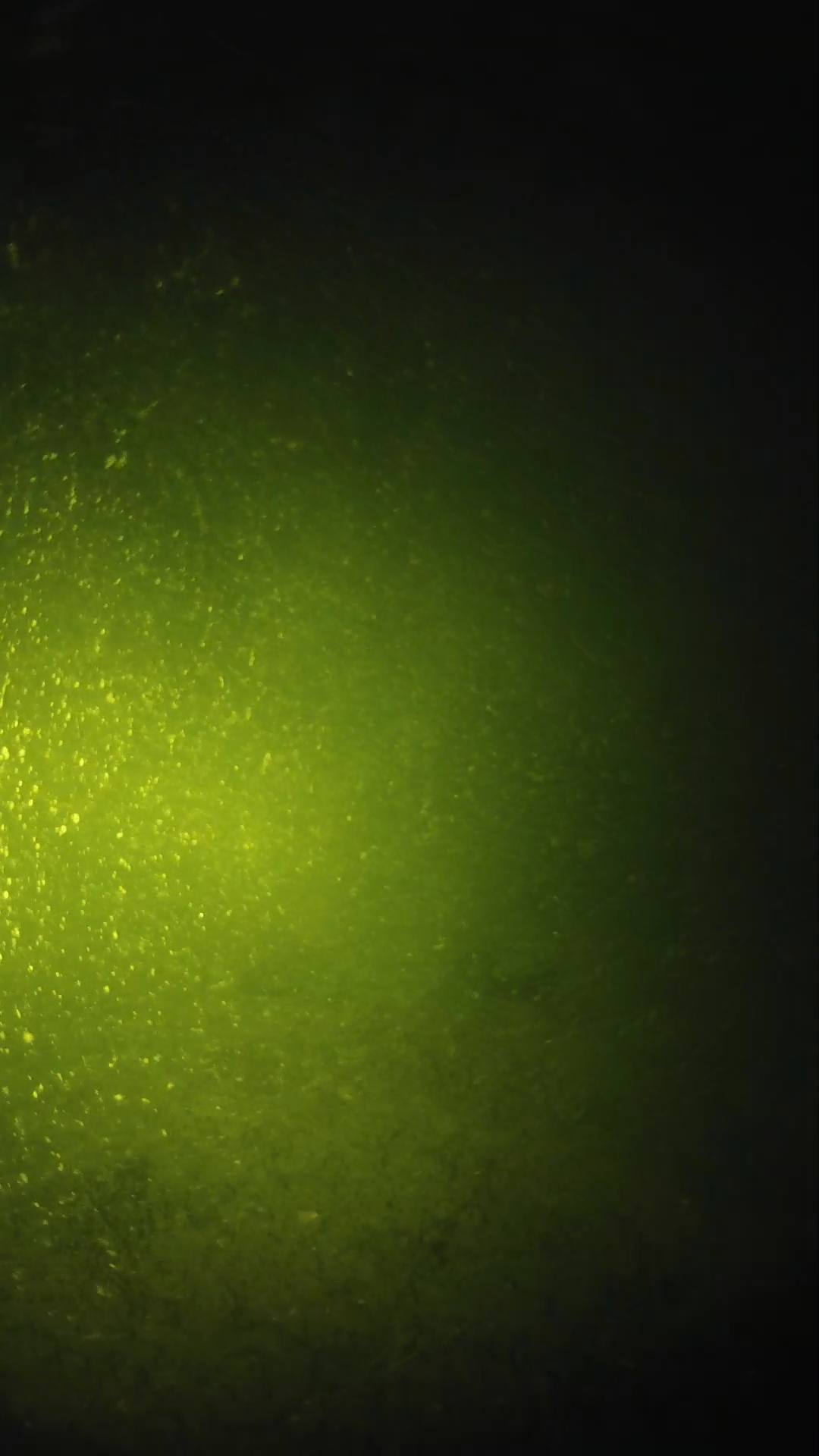 lander_ipcam_20240620203544.png