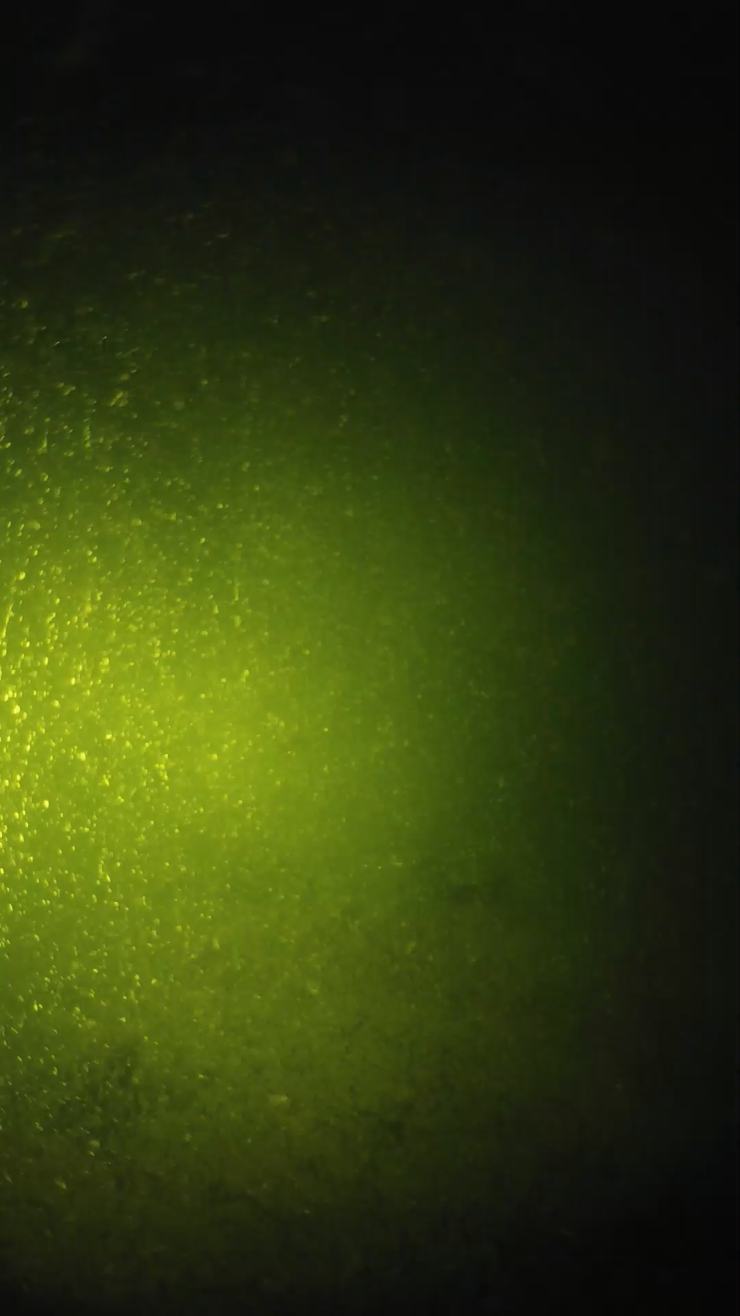 lander_ipcam_20240620203545.png