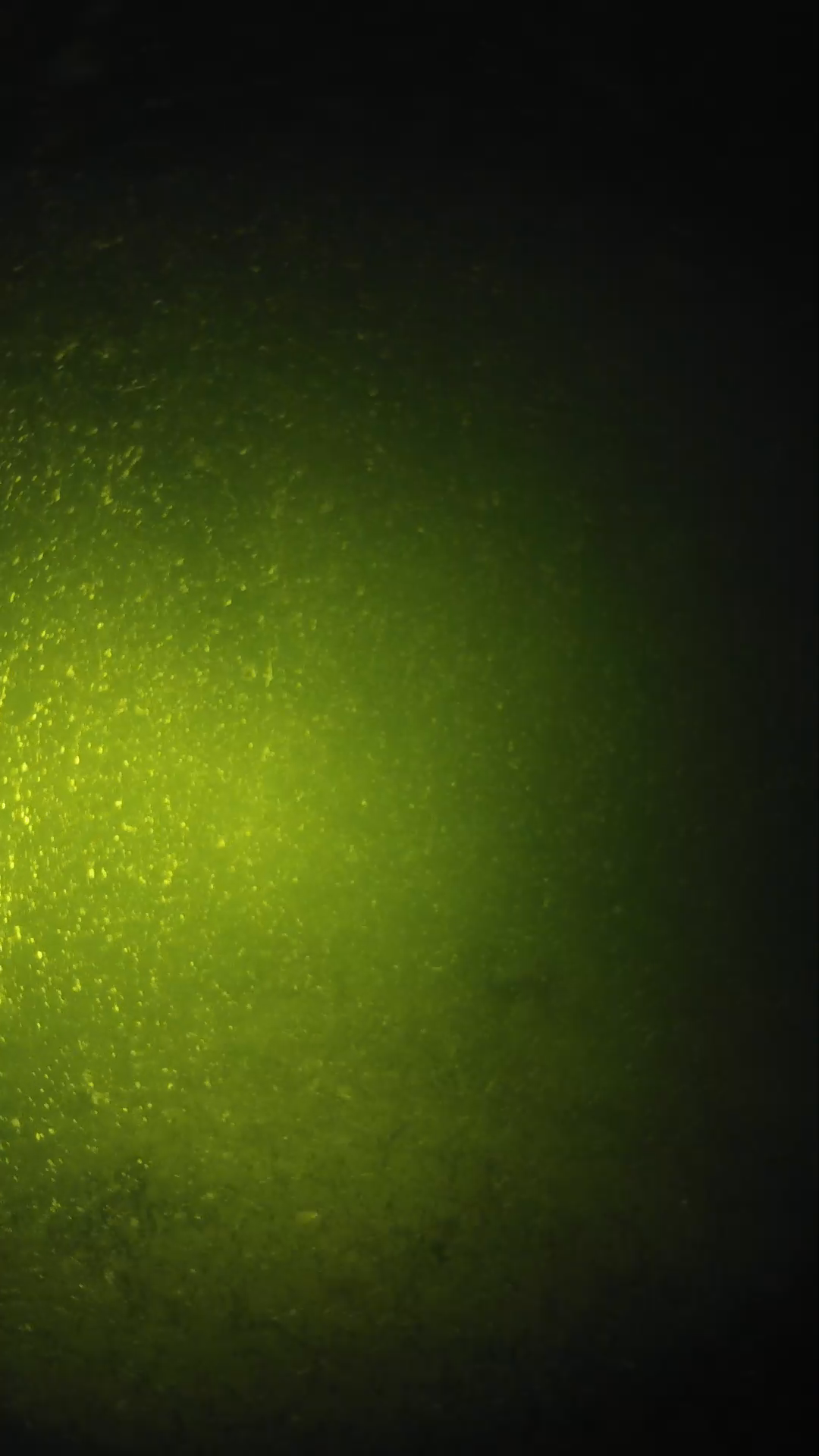 lander_ipcam_20240620203546.png