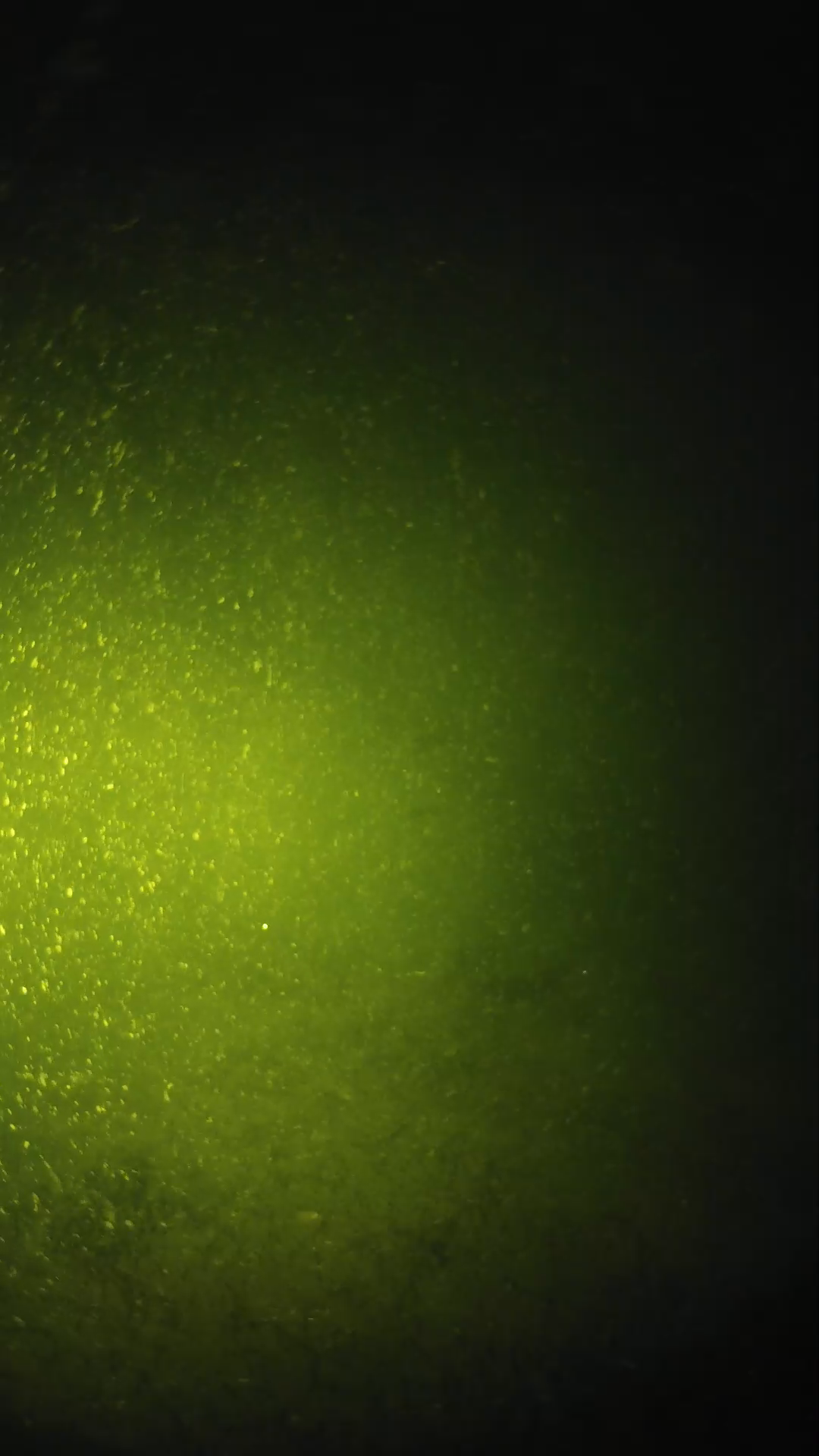 lander_ipcam_20240620203547.png