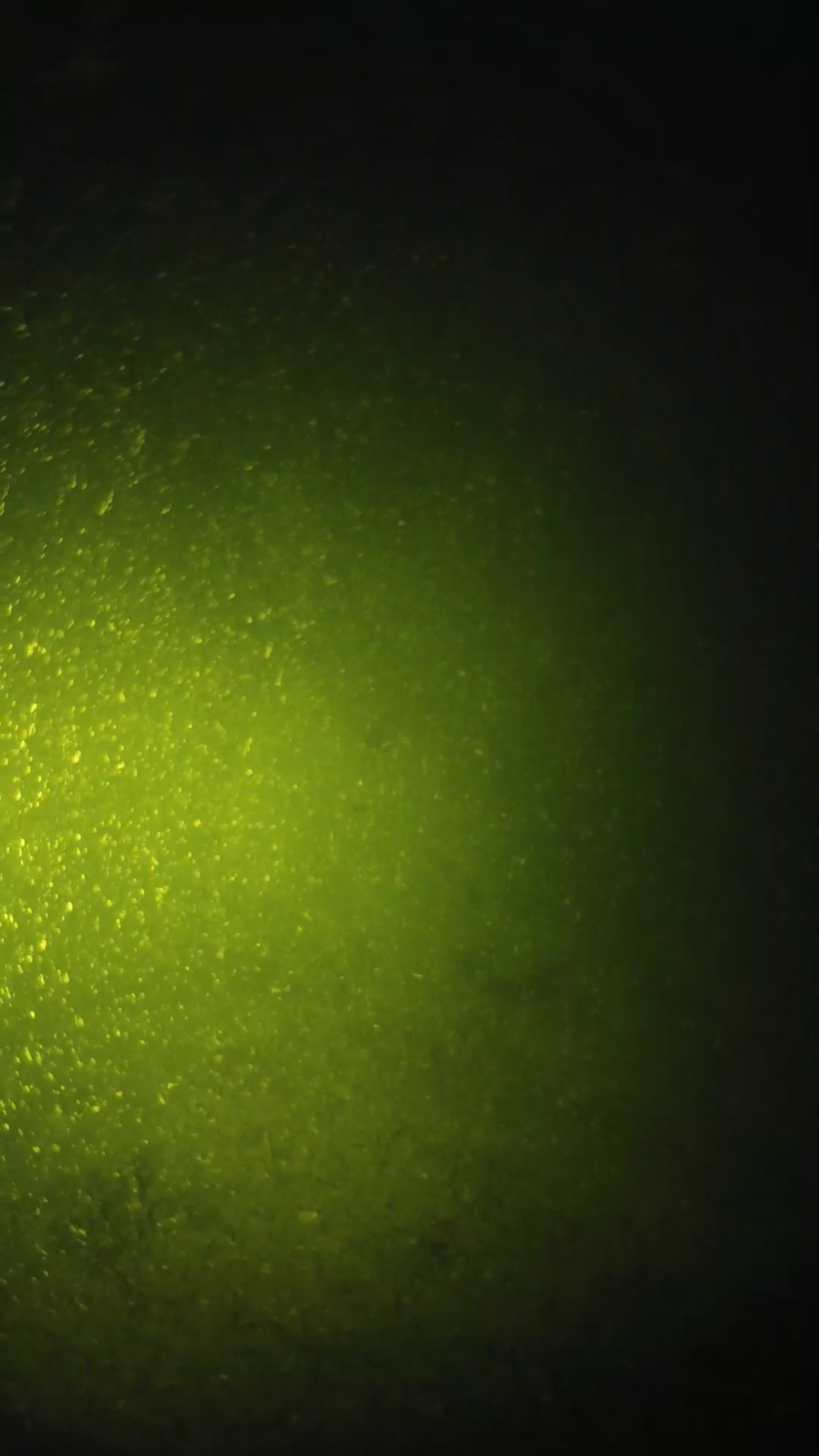 lander_ipcam_20240620203548.png