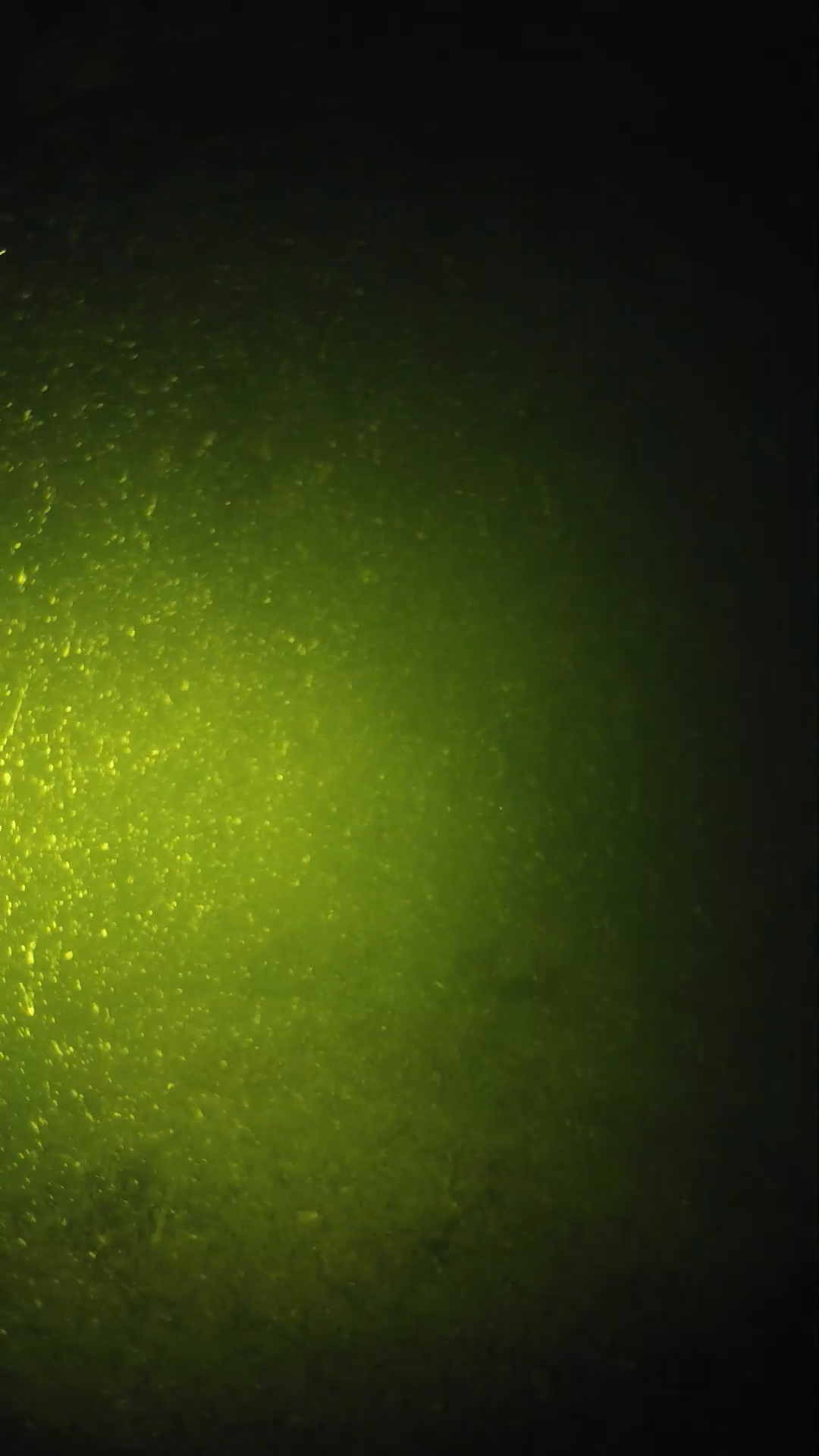 lander_ipcam_20240620203549.png
