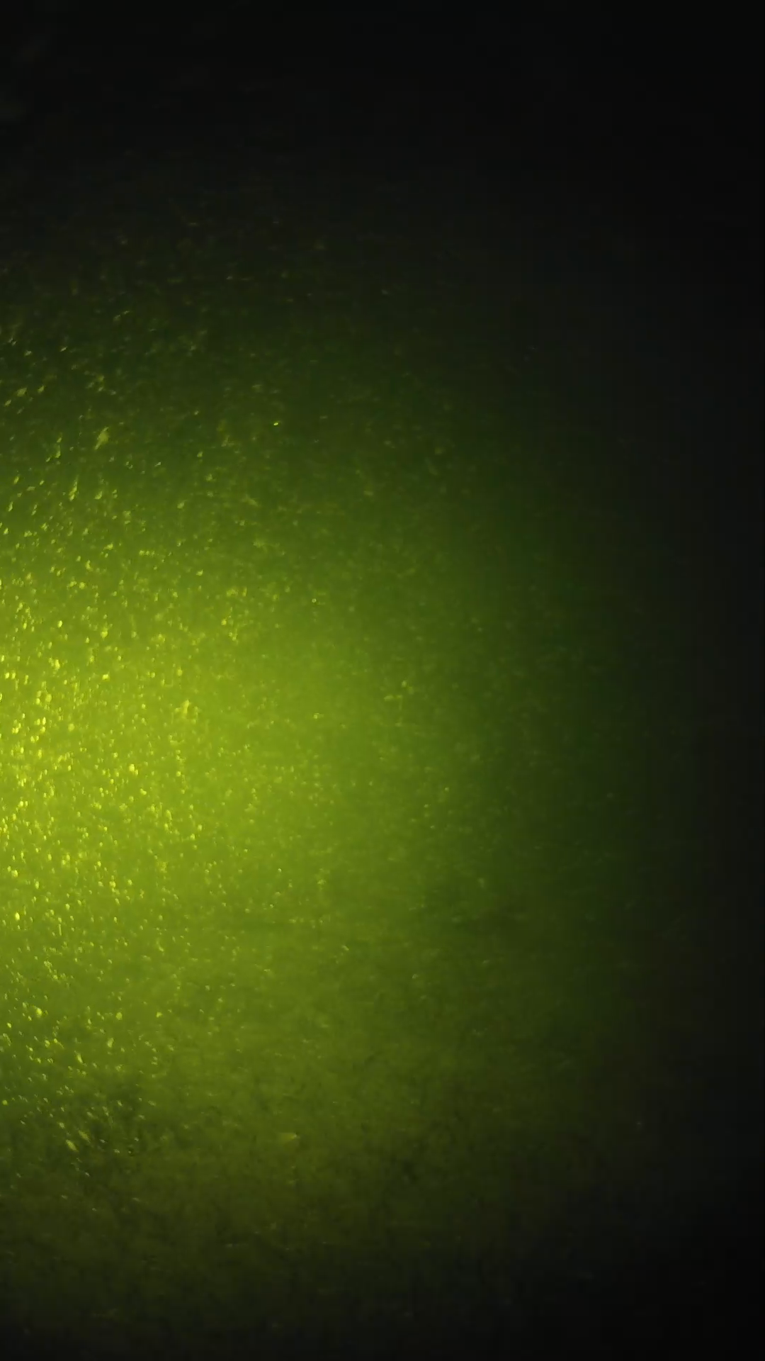 lander_ipcam_20240620203551.png