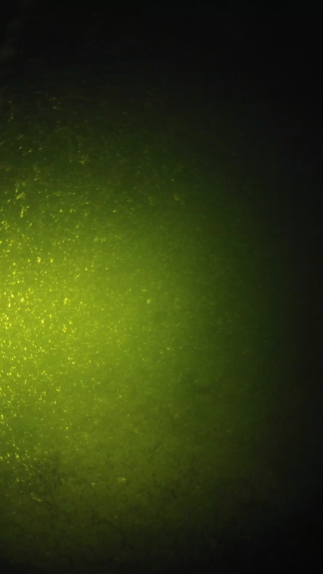 lander_ipcam_20240620203554.png