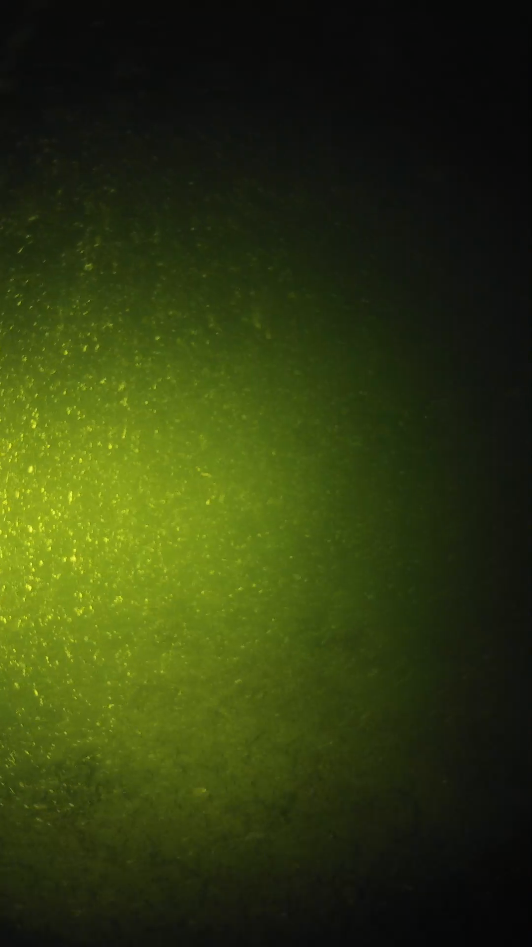 lander_ipcam_20240620203555.png