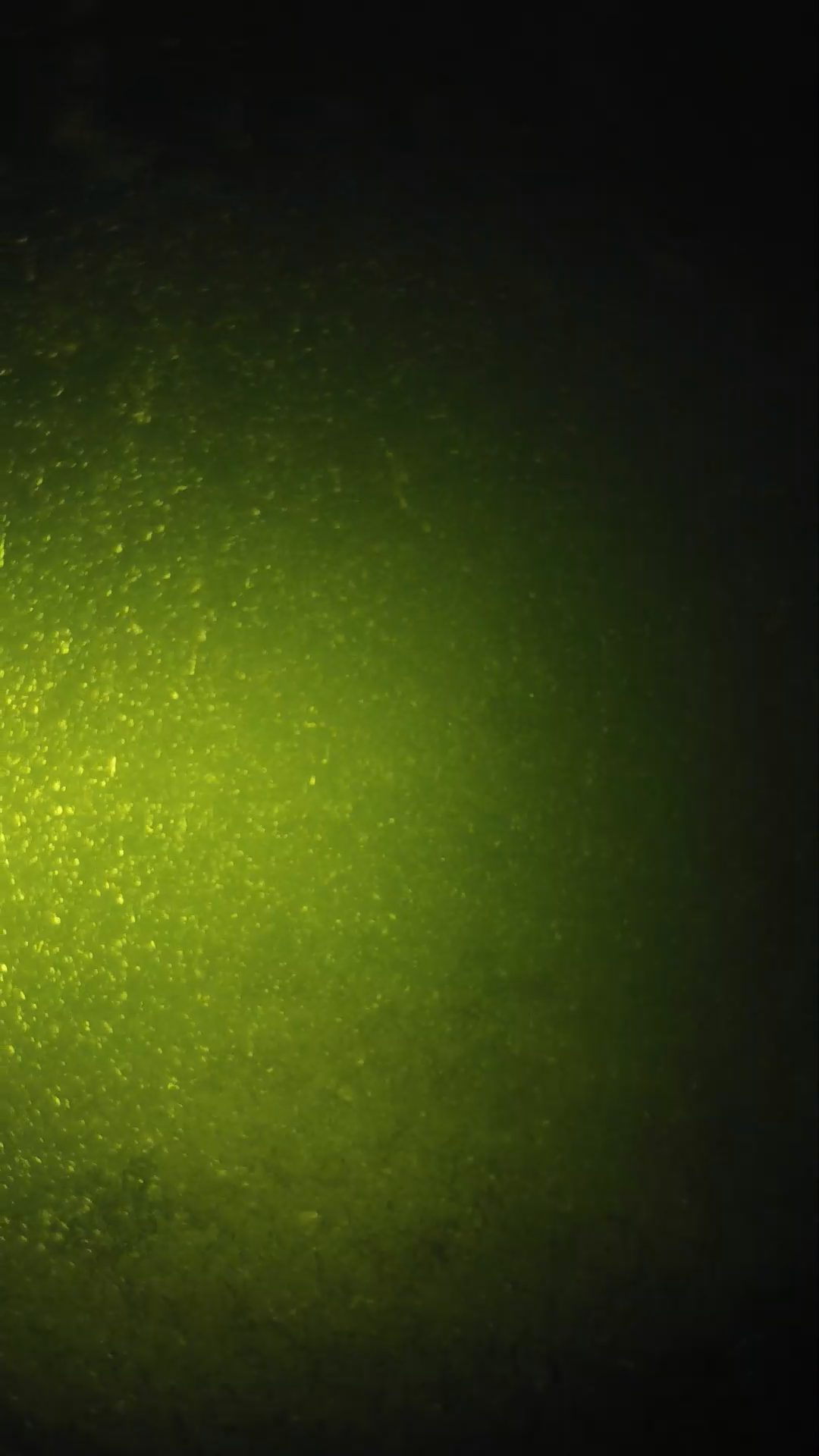 lander_ipcam_20240620203556.png