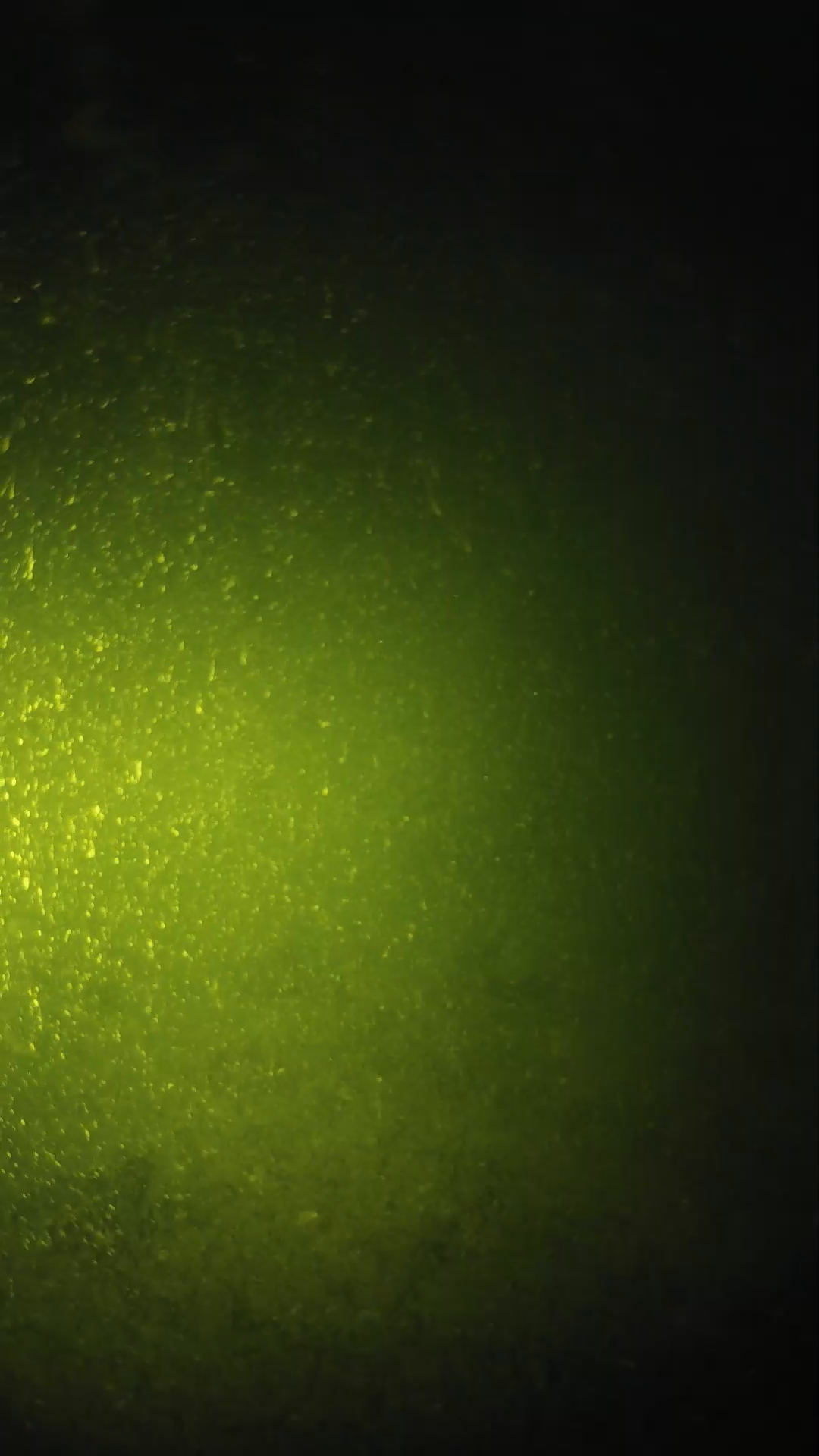 lander_ipcam_20240620203557.png