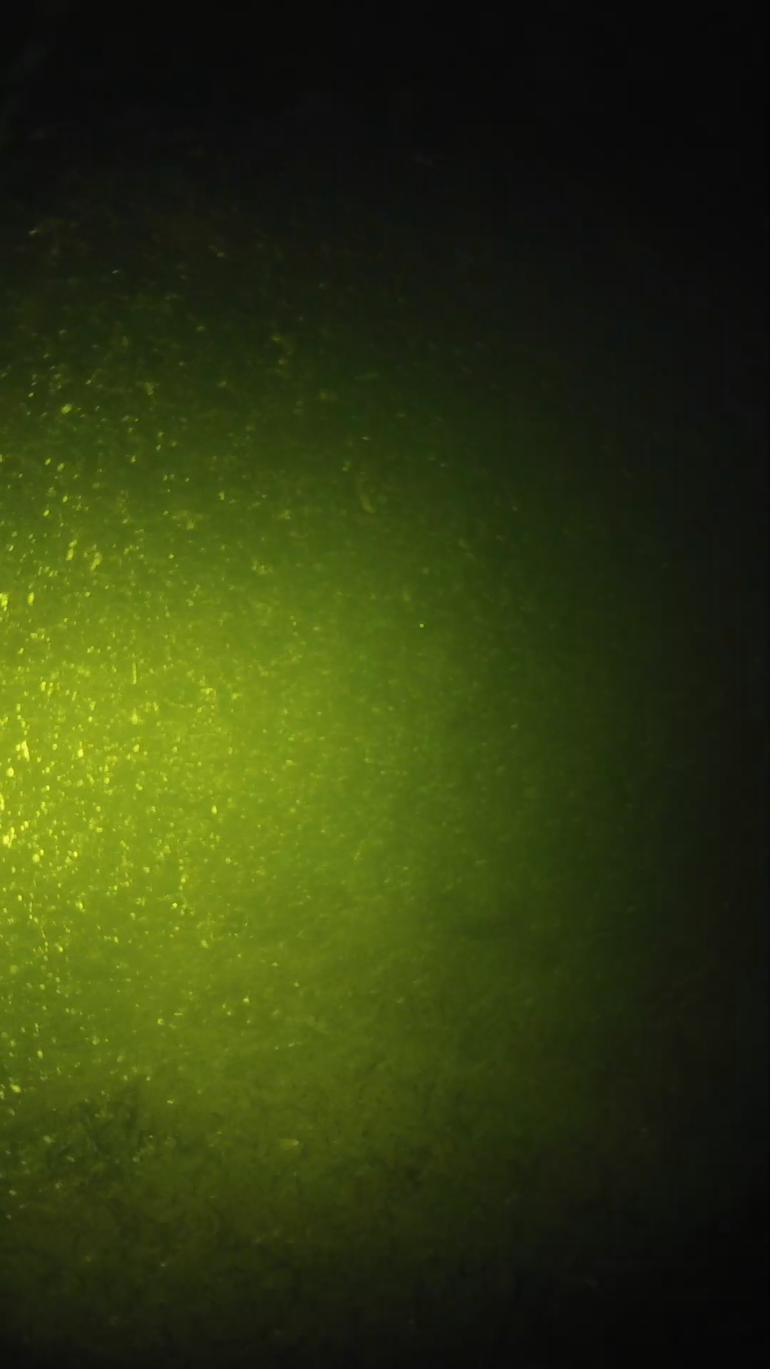 lander_ipcam_20240620203601.png