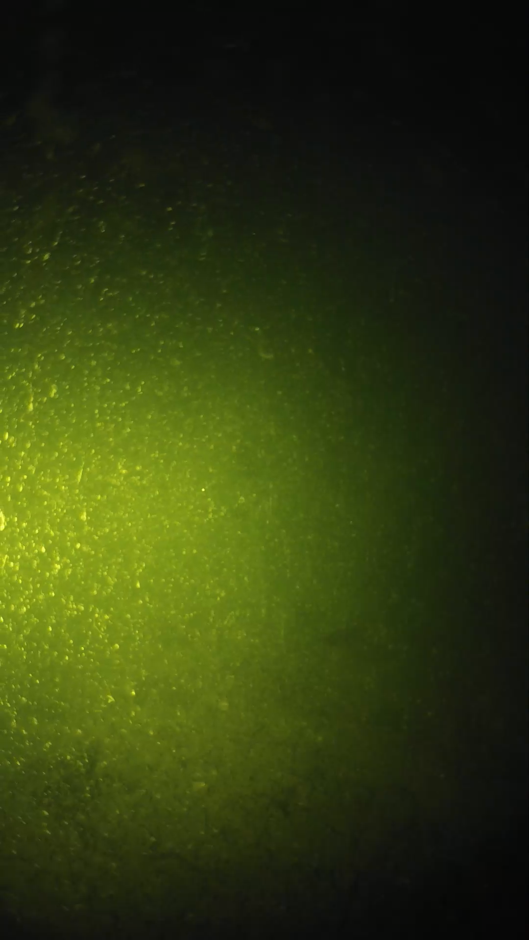 lander_ipcam_20240620203603.png