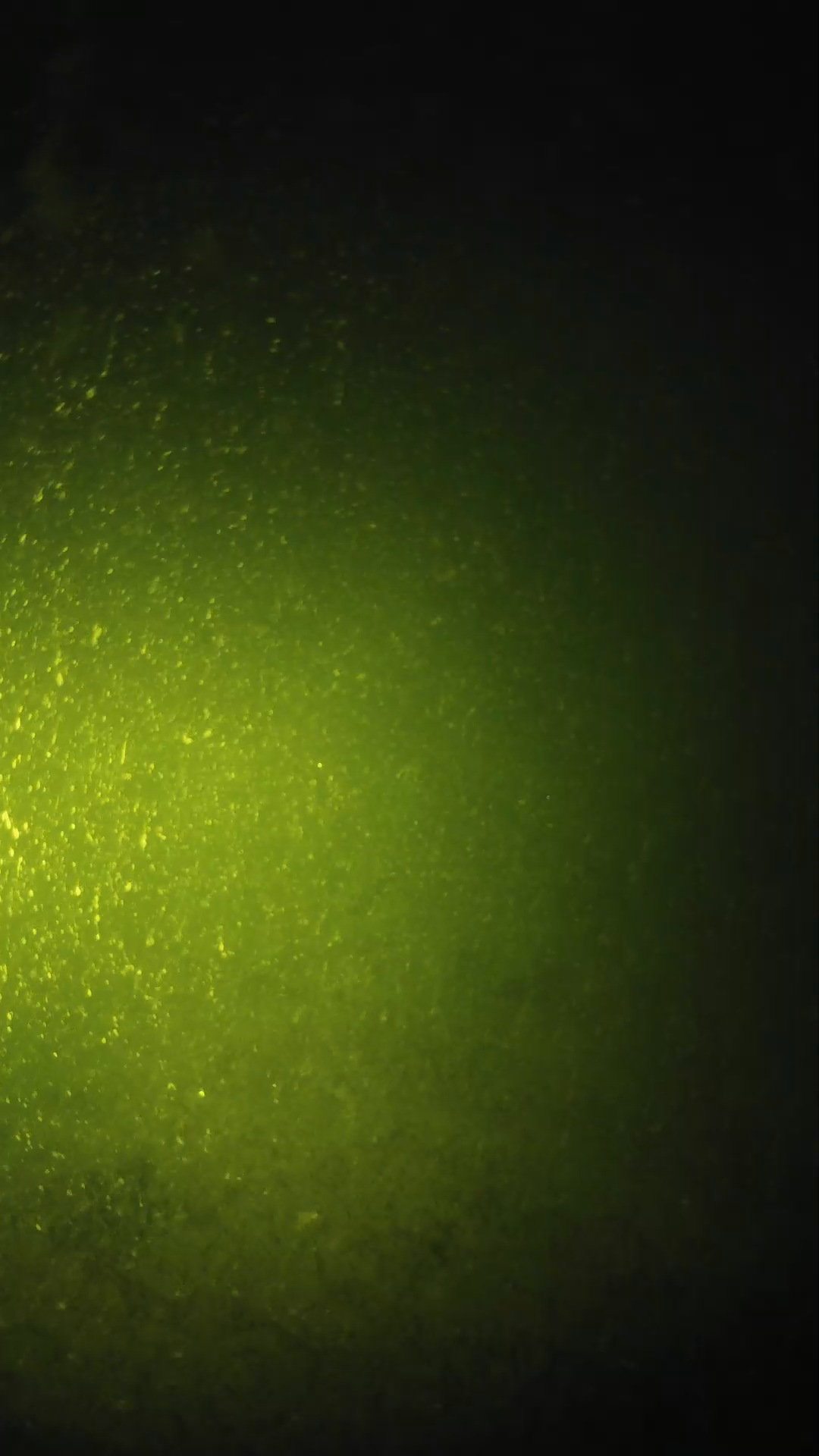 lander_ipcam_20240620203604.png