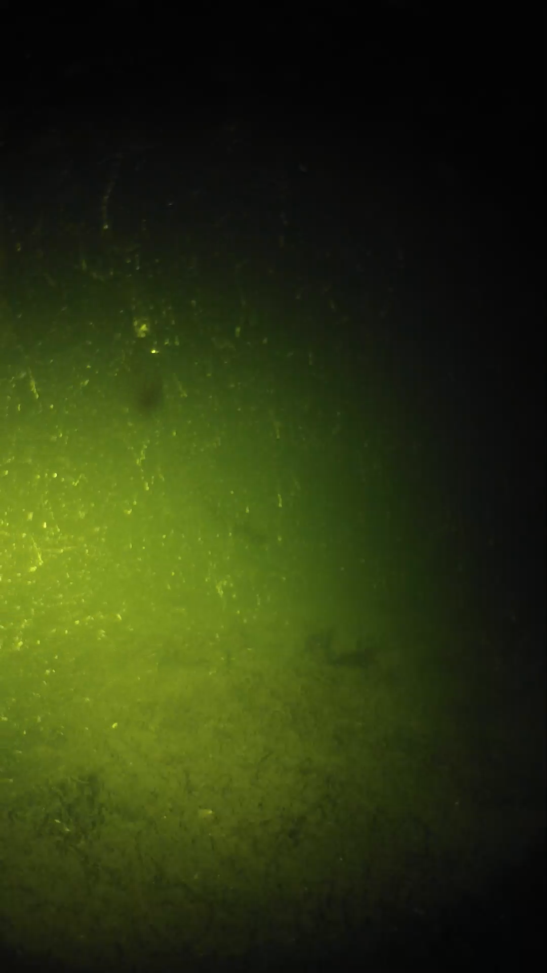 lander_ipcam_20240620213547.png