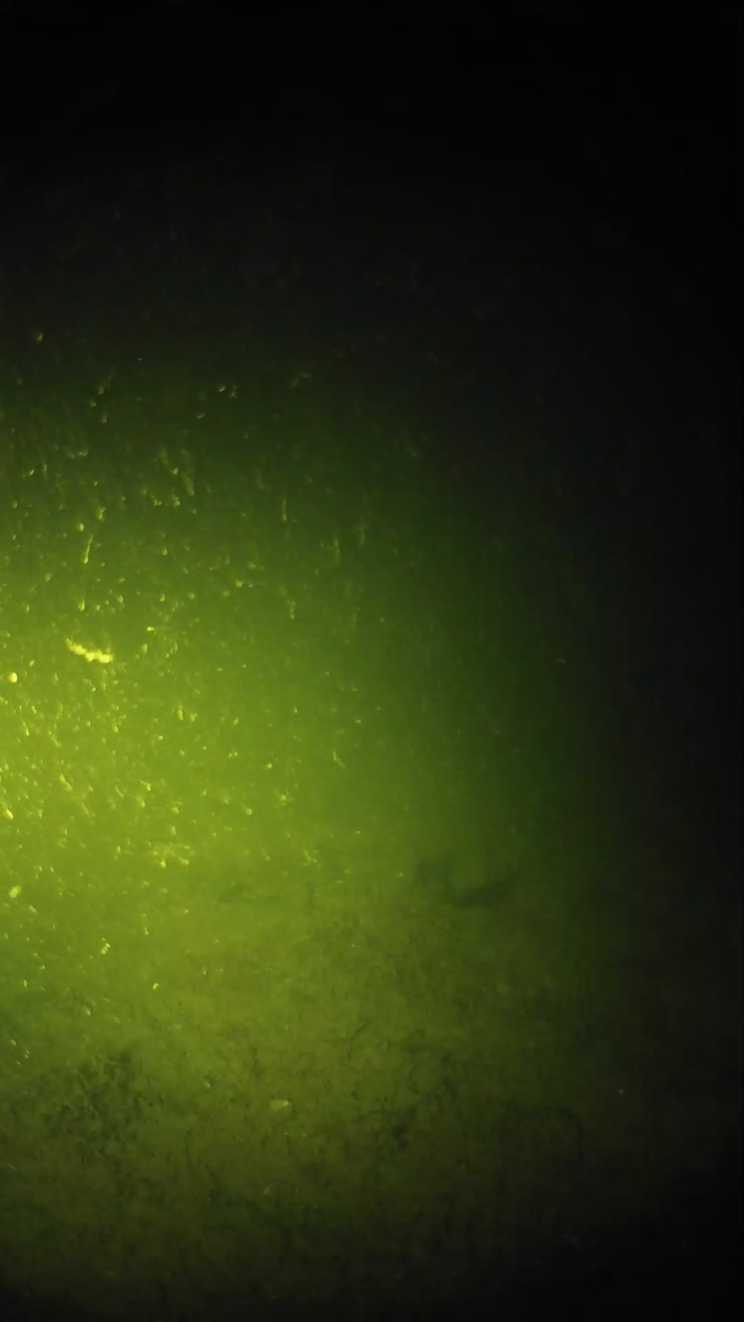 lander_ipcam_20240620213601.png