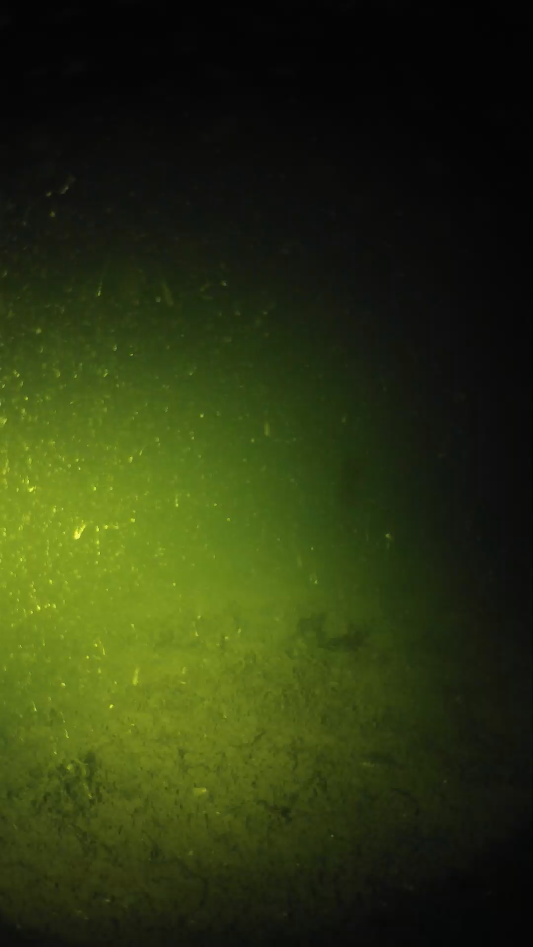 lander_ipcam_20240620223552.png