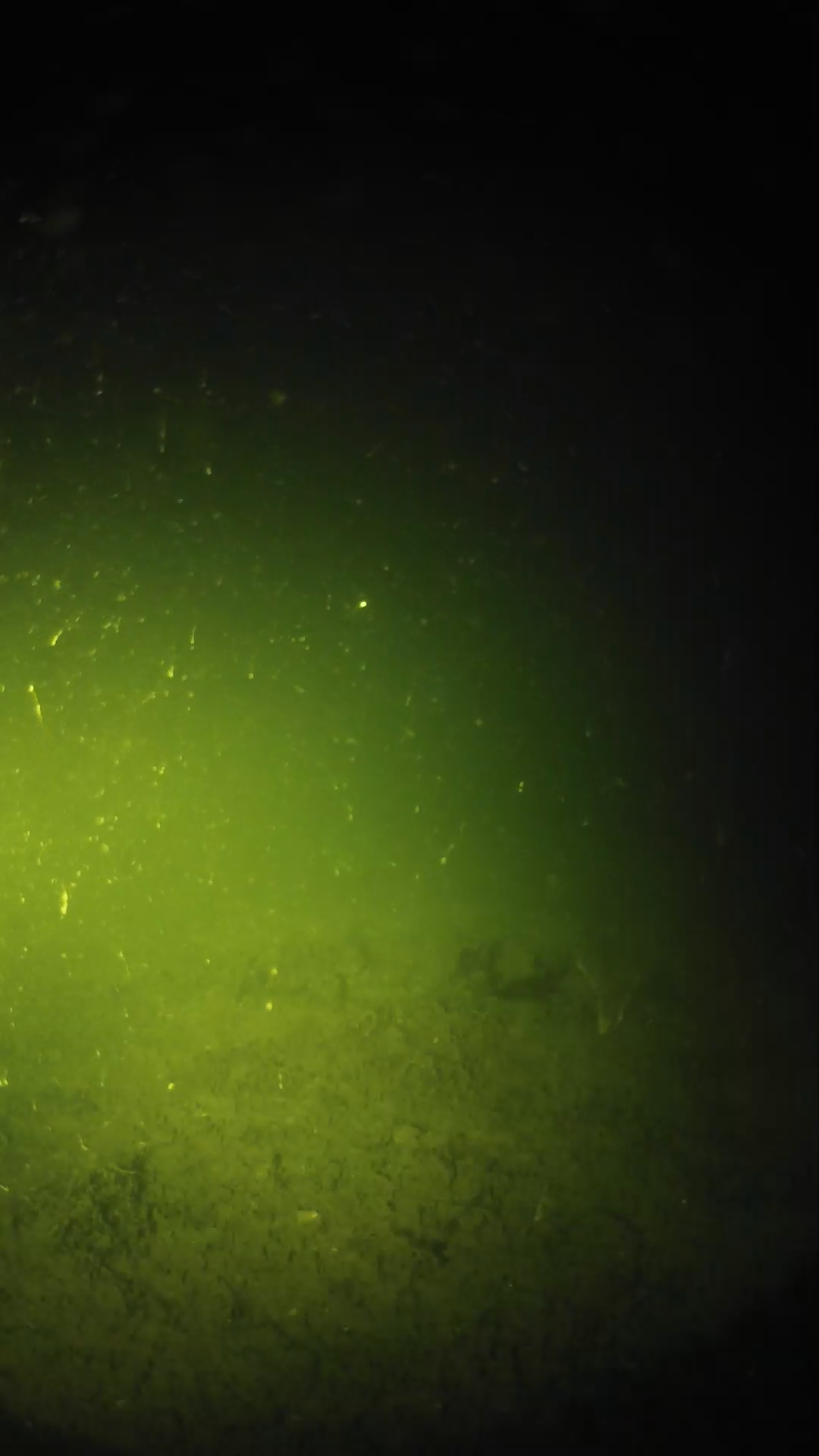 lander_ipcam_20240620233541.png
