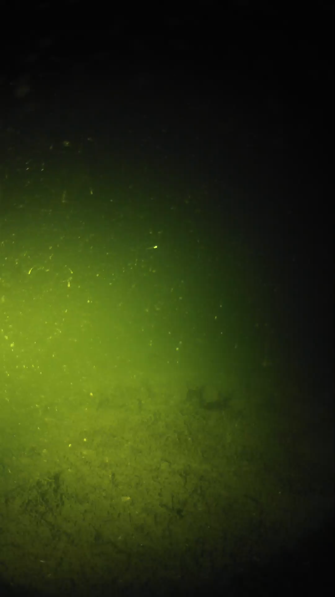 lander_ipcam_20240620233544.png