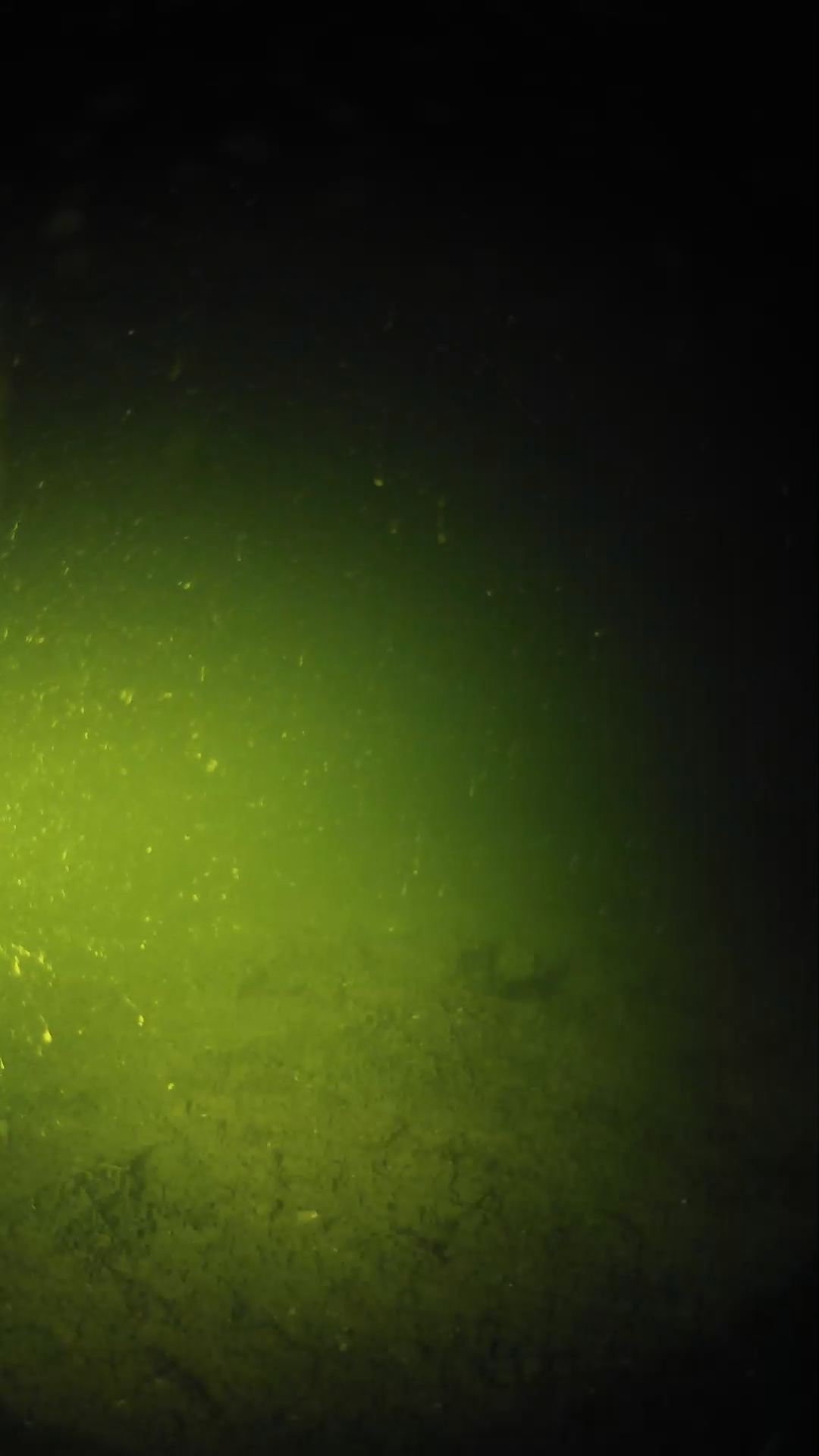 lander_ipcam_20240621000539.png