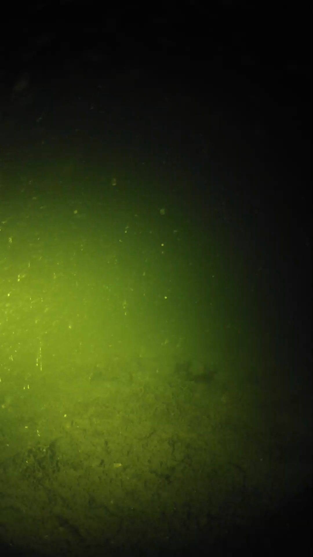 lander_ipcam_20240621000546.png
