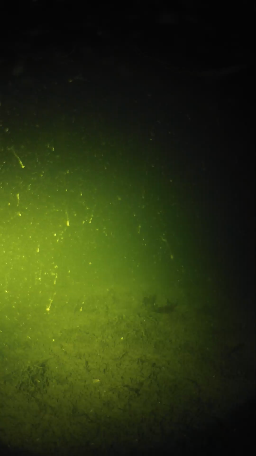 lander_ipcam_20240621003553.png