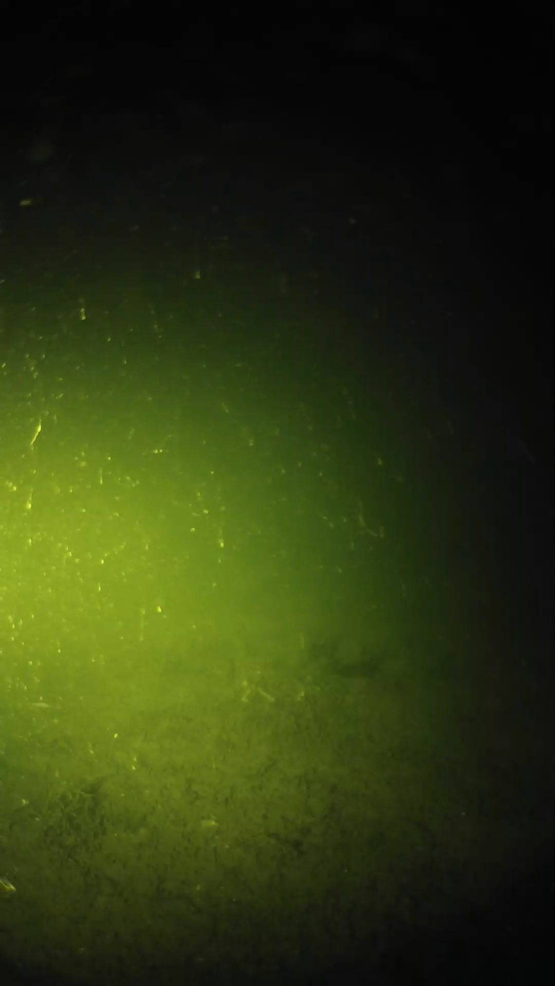 lander_ipcam_20240621010552.png