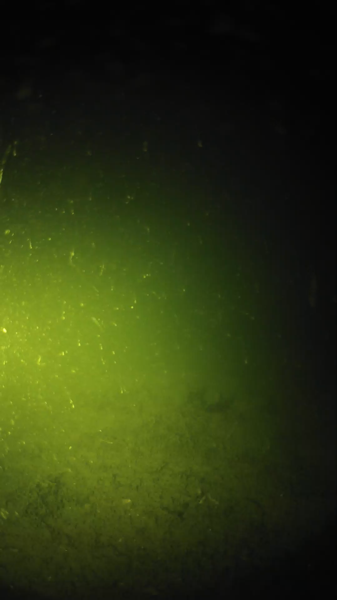 lander_ipcam_20240621010601.png