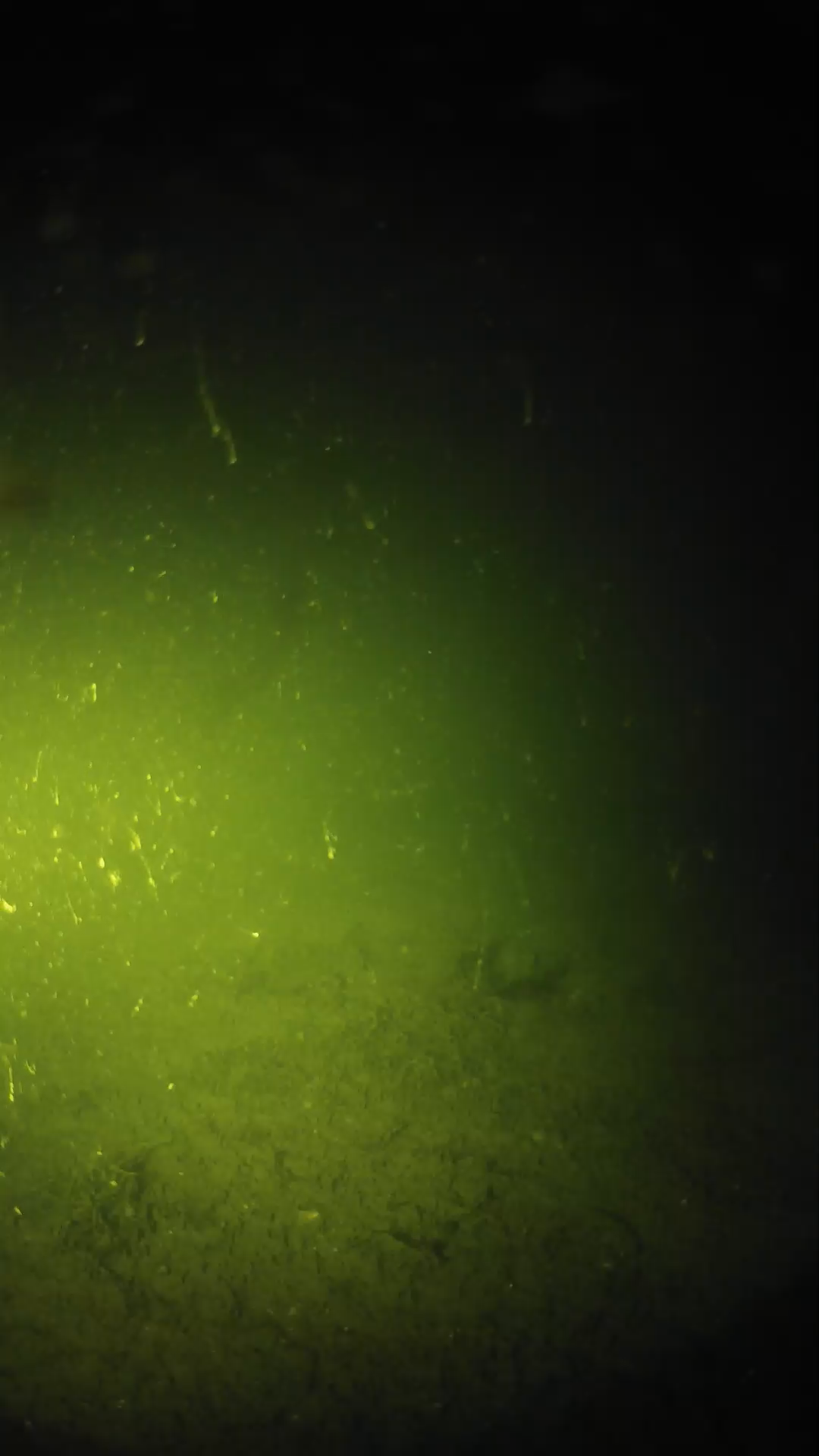 lander_ipcam_20240621013545.png