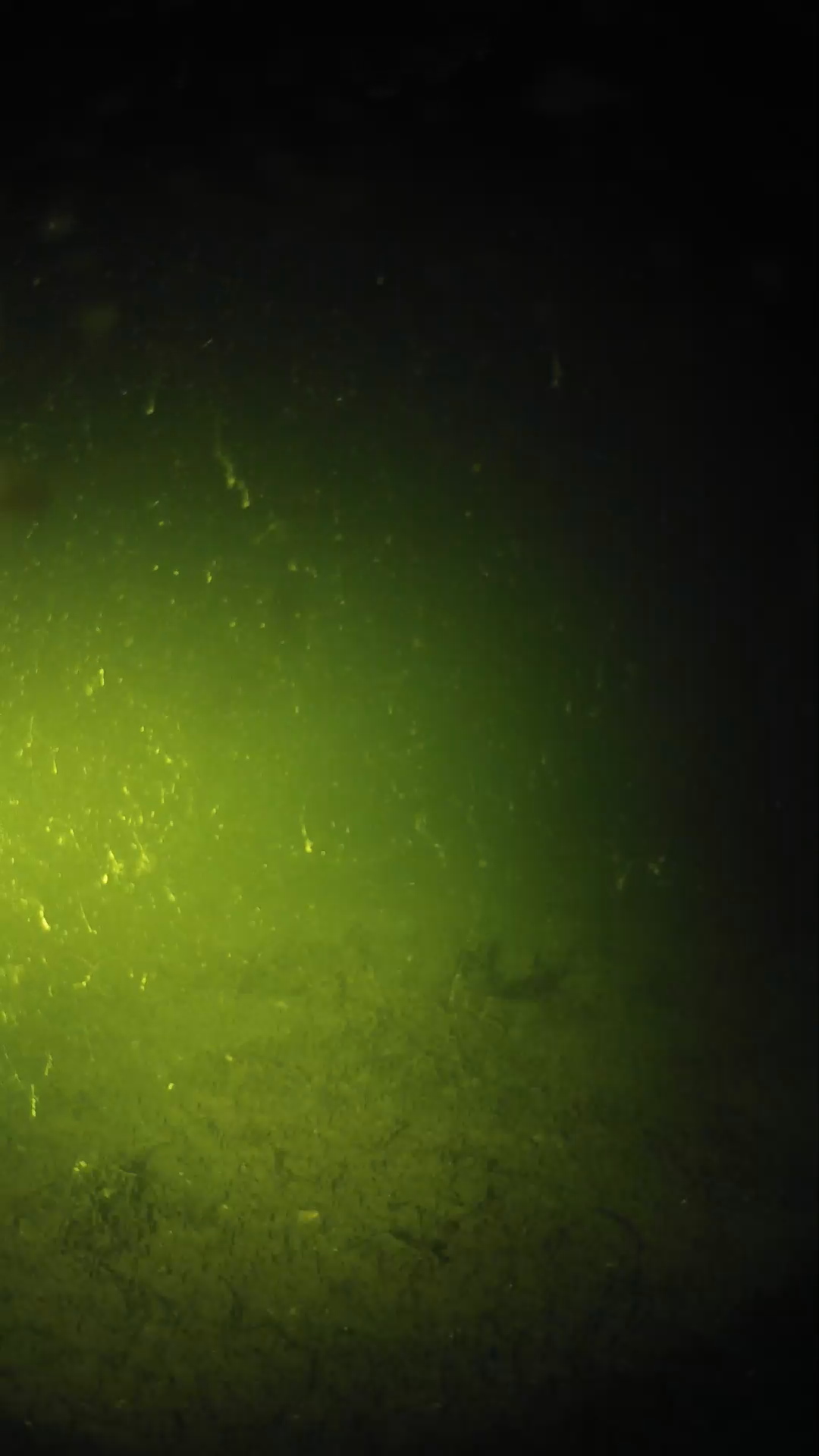 lander_ipcam_20240621013549.png