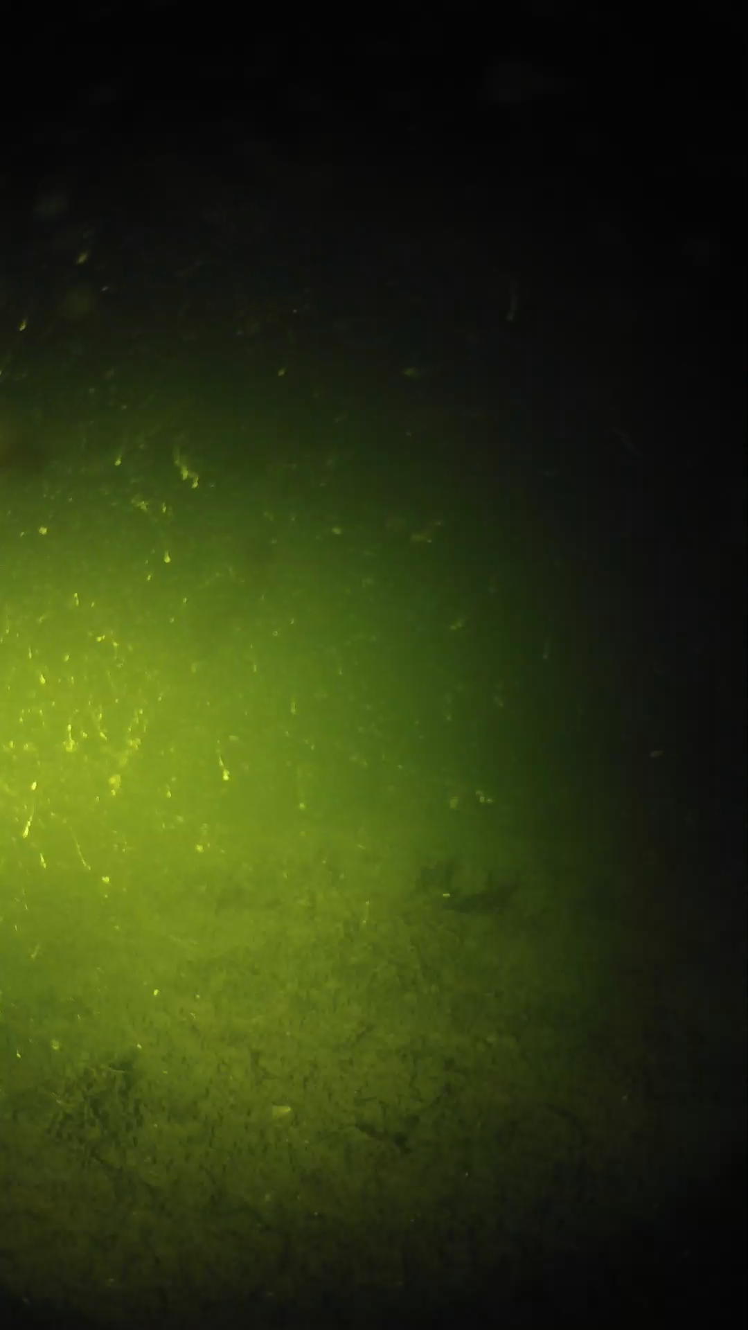 lander_ipcam_20240621013555.png