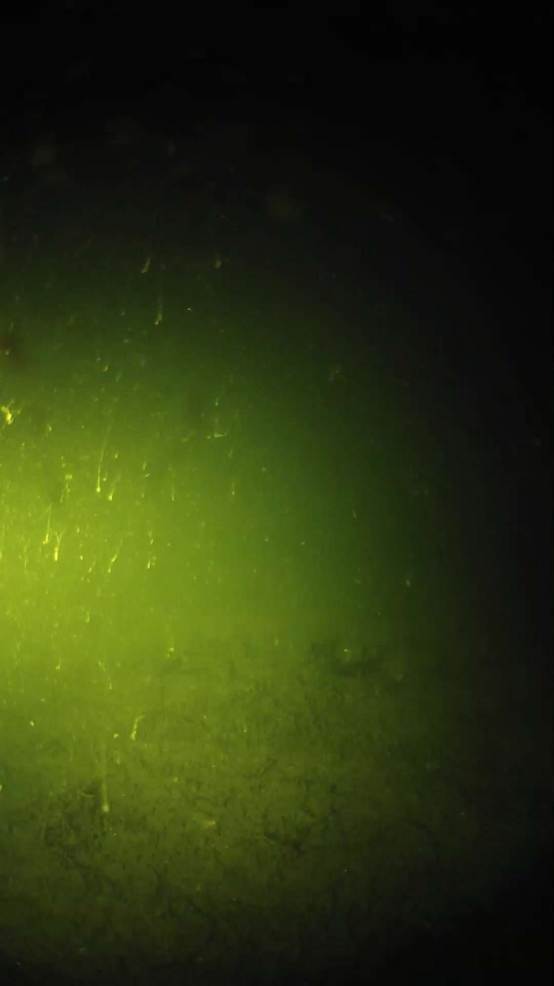 lander_ipcam_20240621030558.png