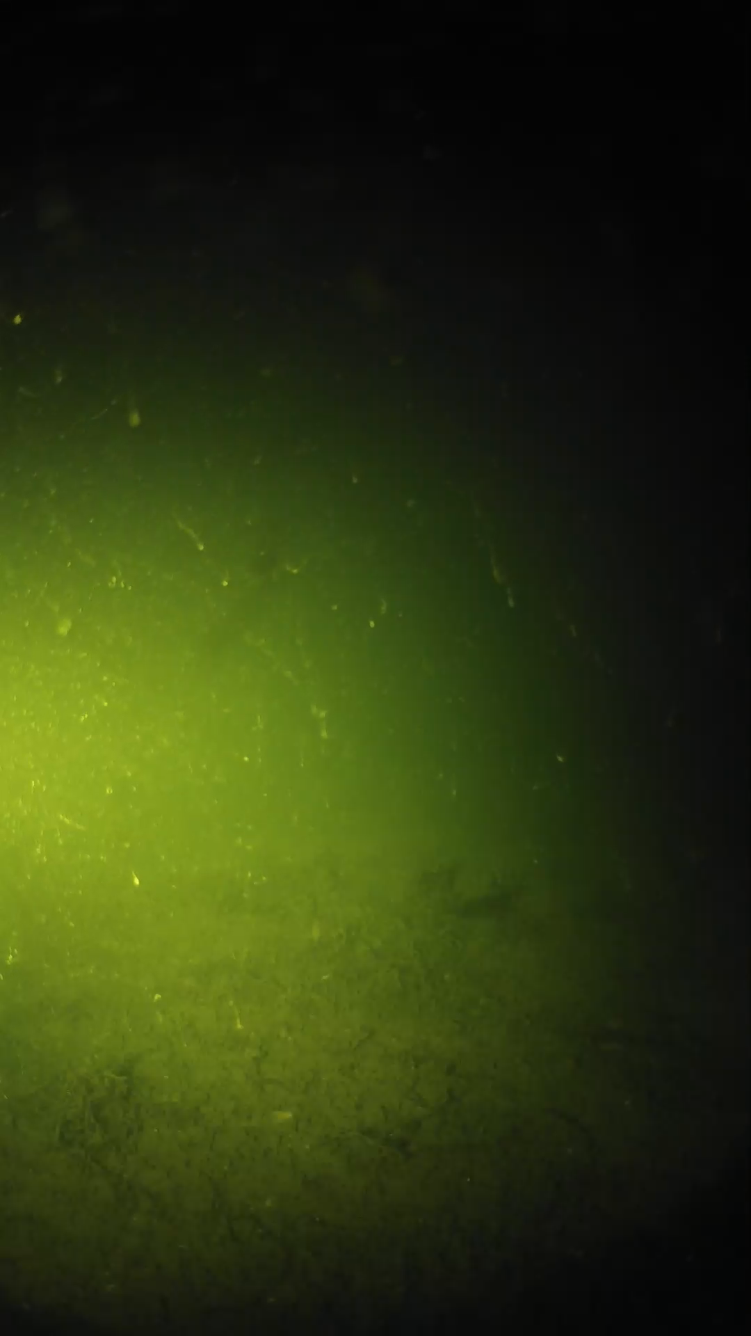 lander_ipcam_20240621033546.png