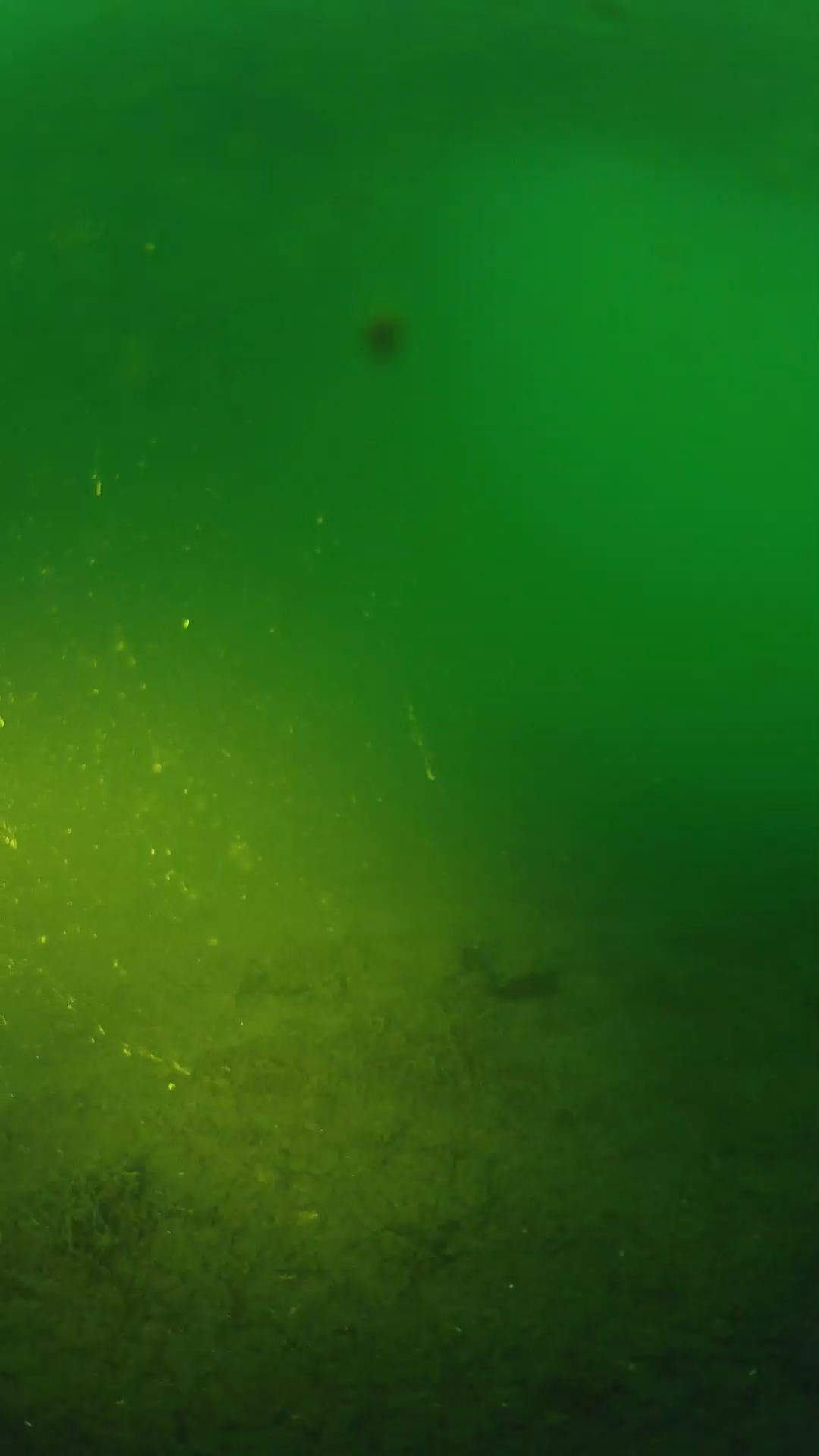 lander_ipcam_20240621050556.png