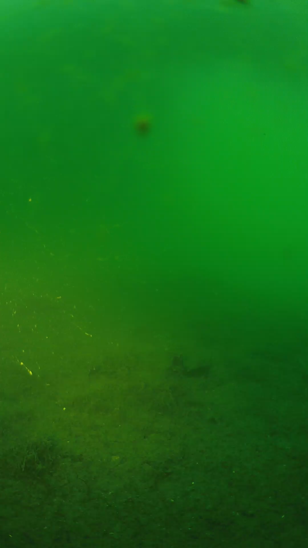 lander_ipcam_20240621053539.png