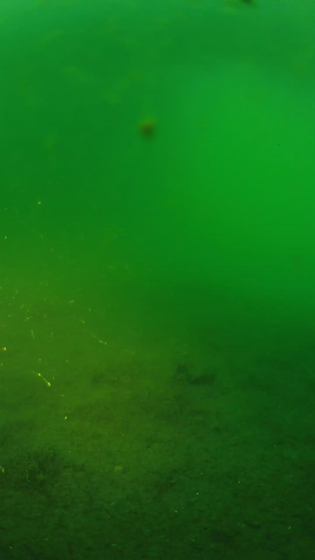 lander_ipcam_20240621053540.png