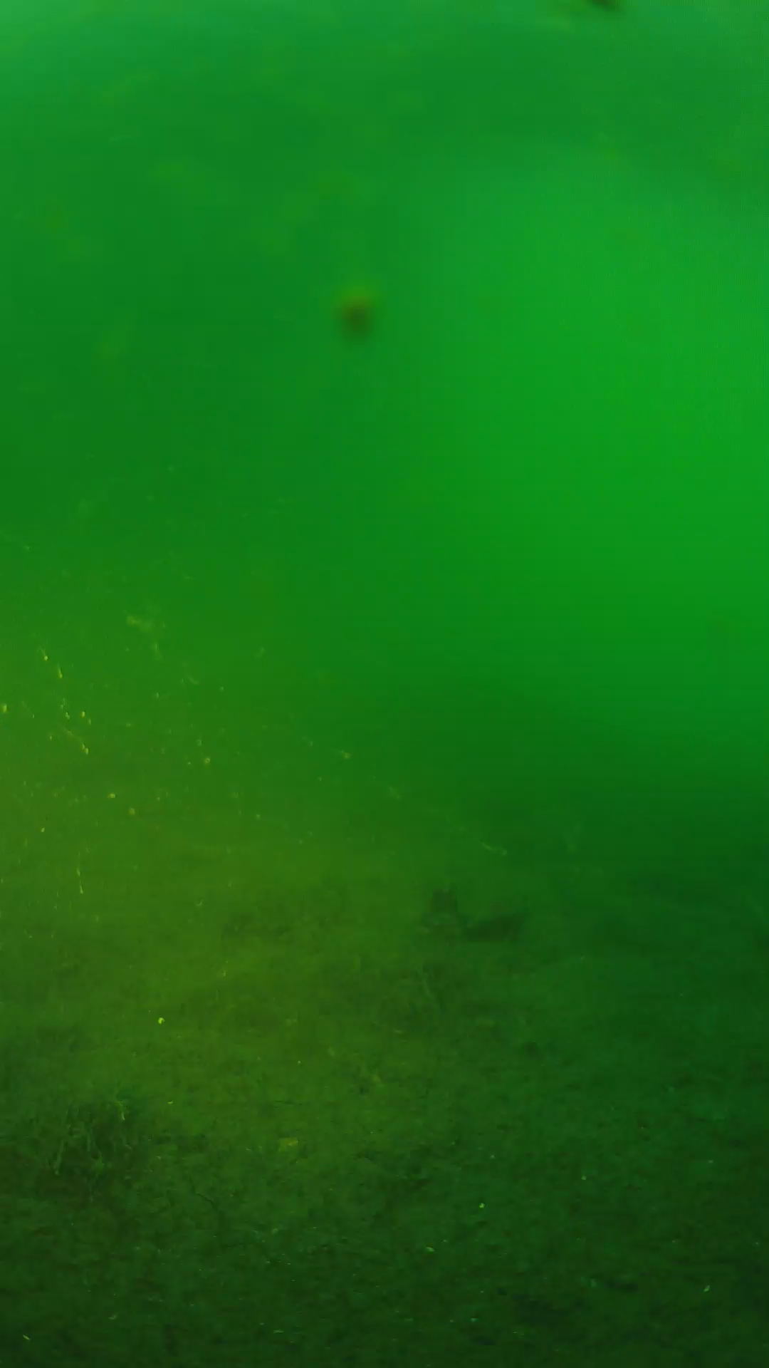 lander_ipcam_20240621053555.png