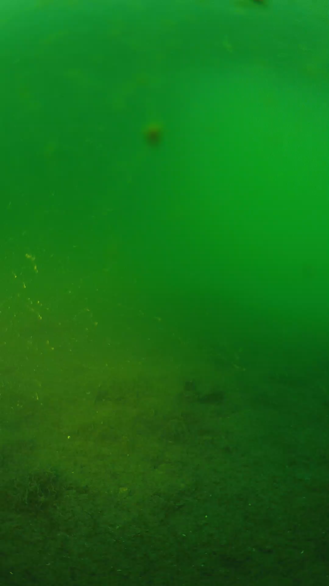 lander_ipcam_20240621053559.png