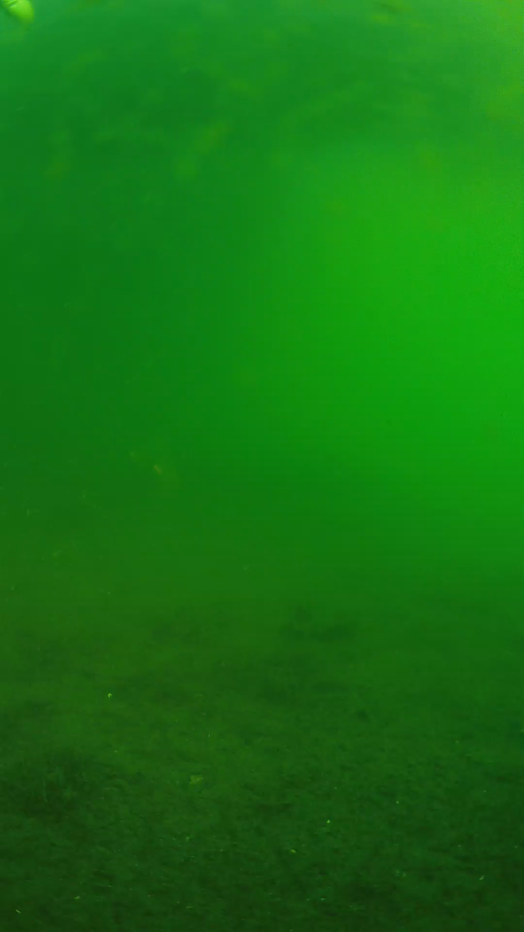 lander_ipcam_20240621063539.png