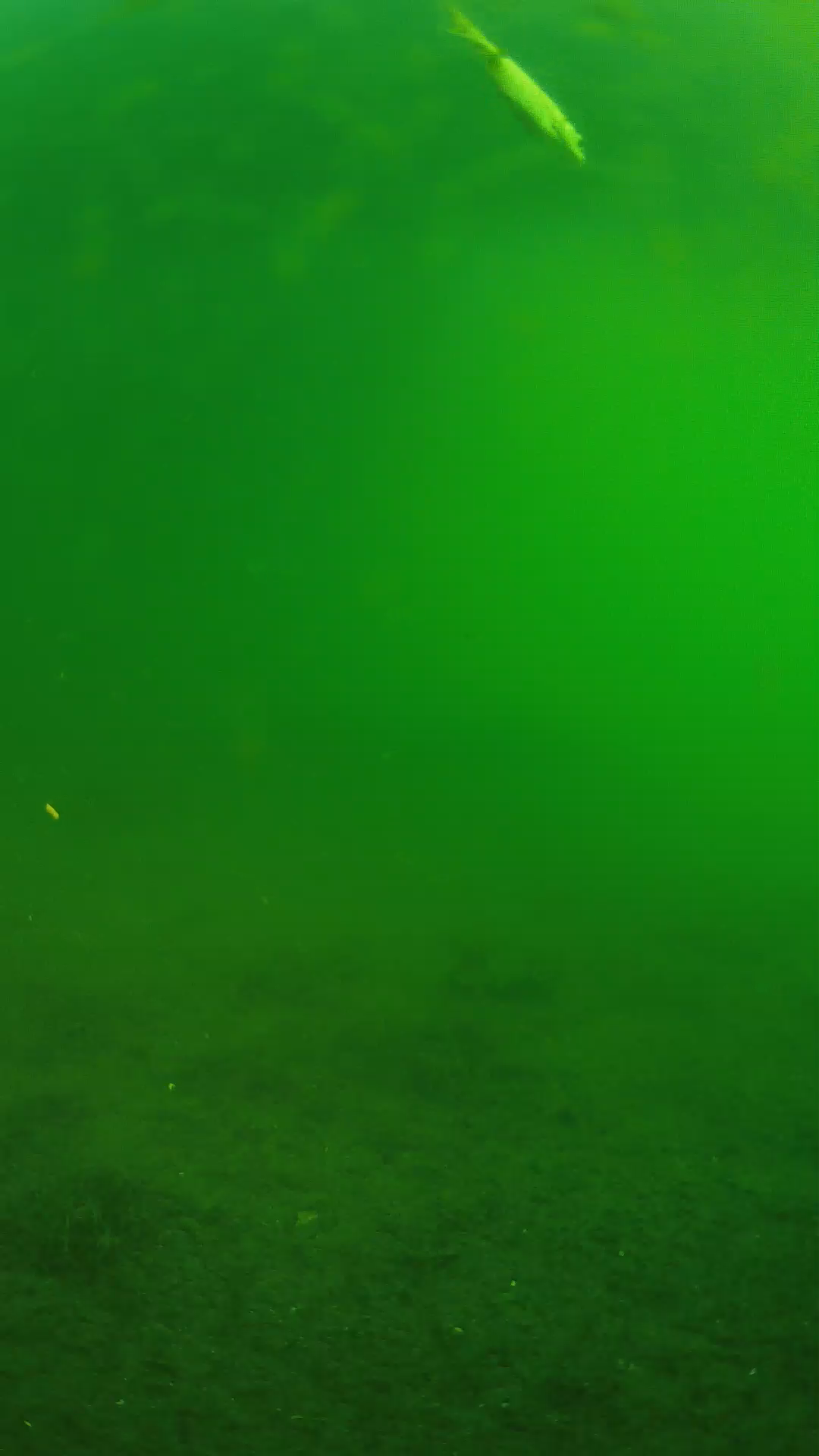 lander_ipcam_20240621063542.png