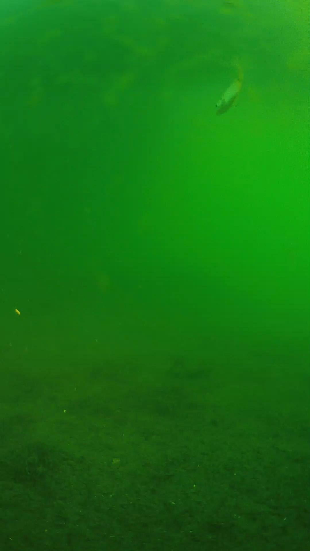 lander_ipcam_20240621063543.png