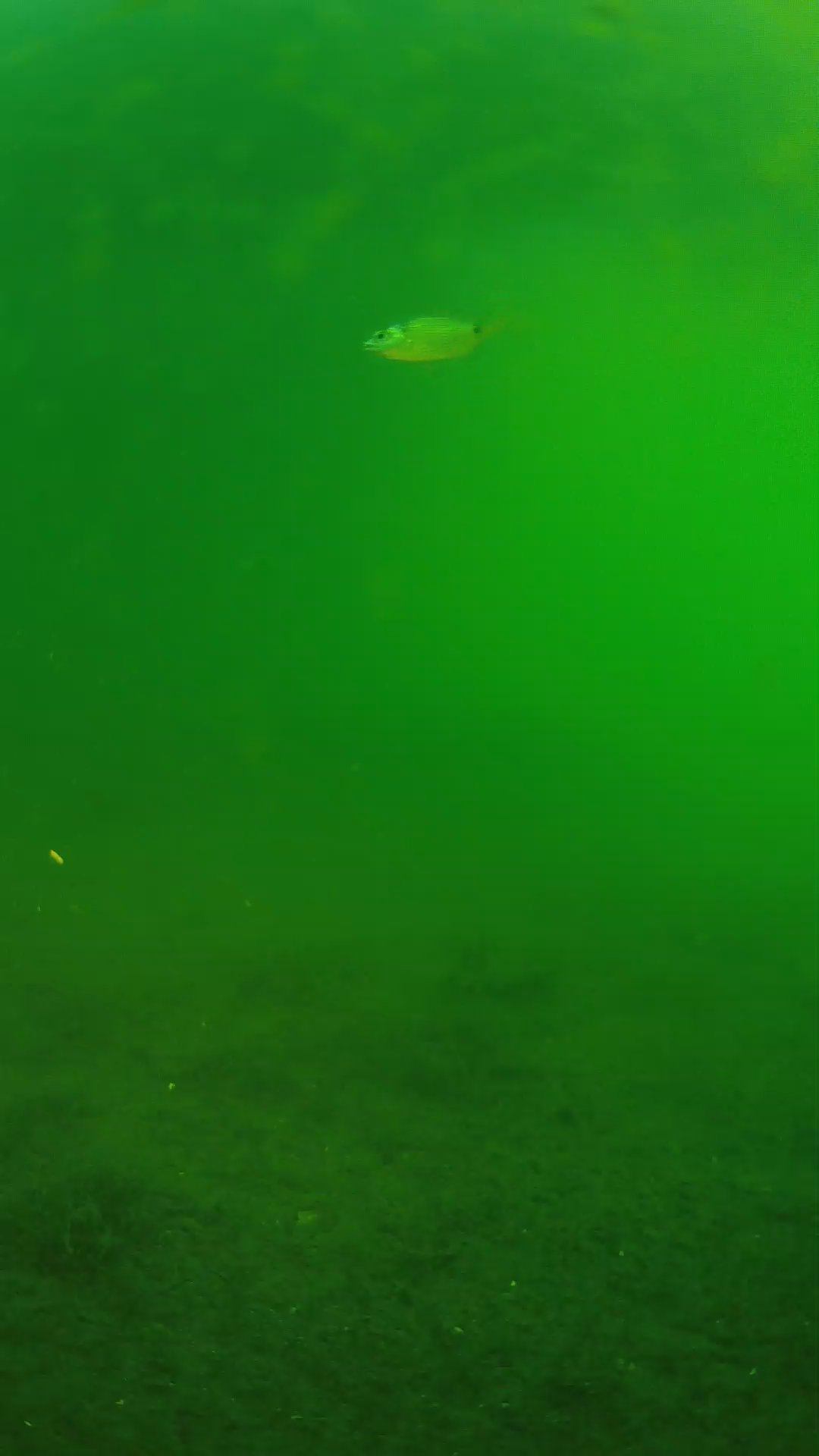 lander_ipcam_20240621063545.png