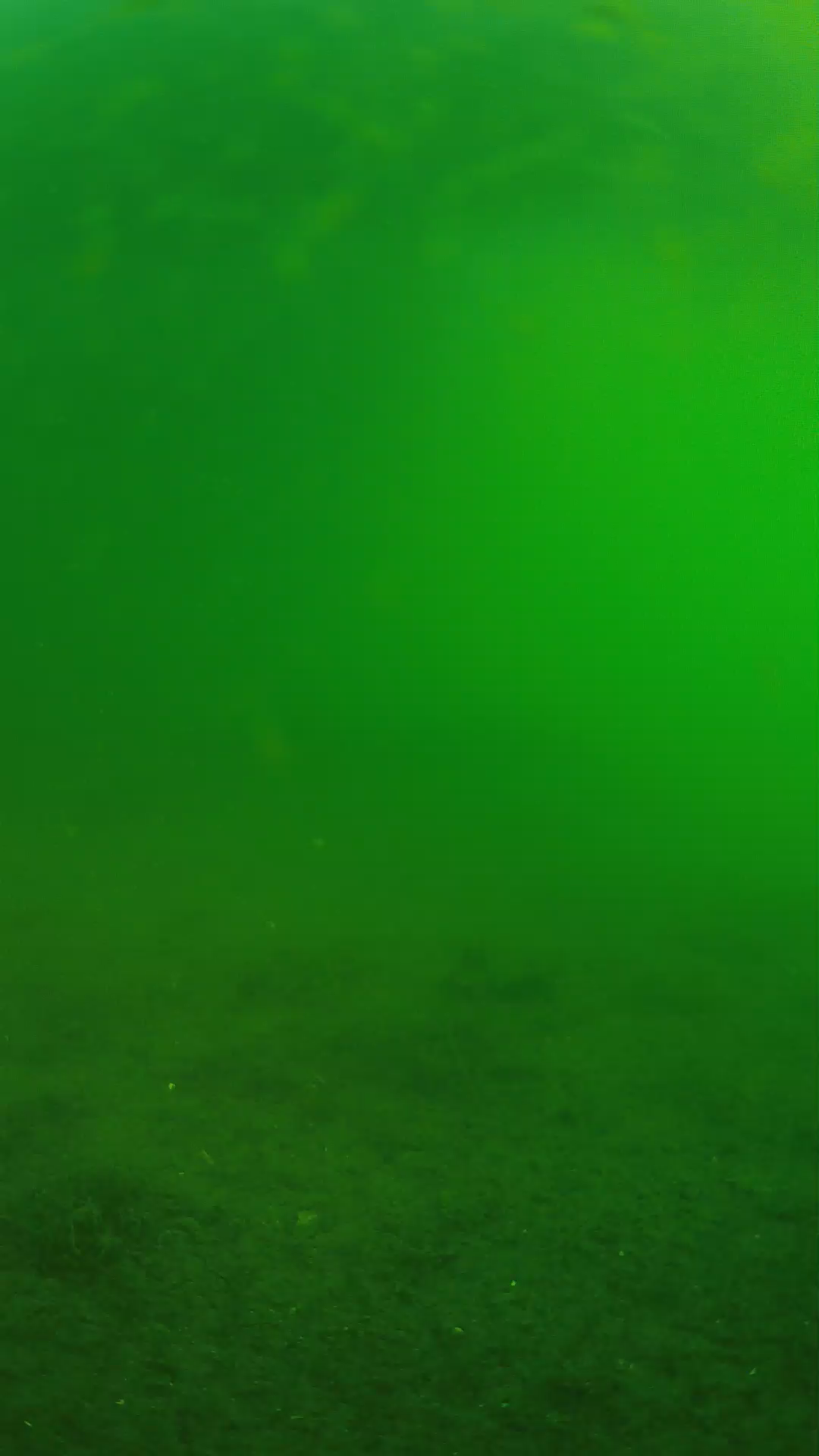 lander_ipcam_20240621063600.png