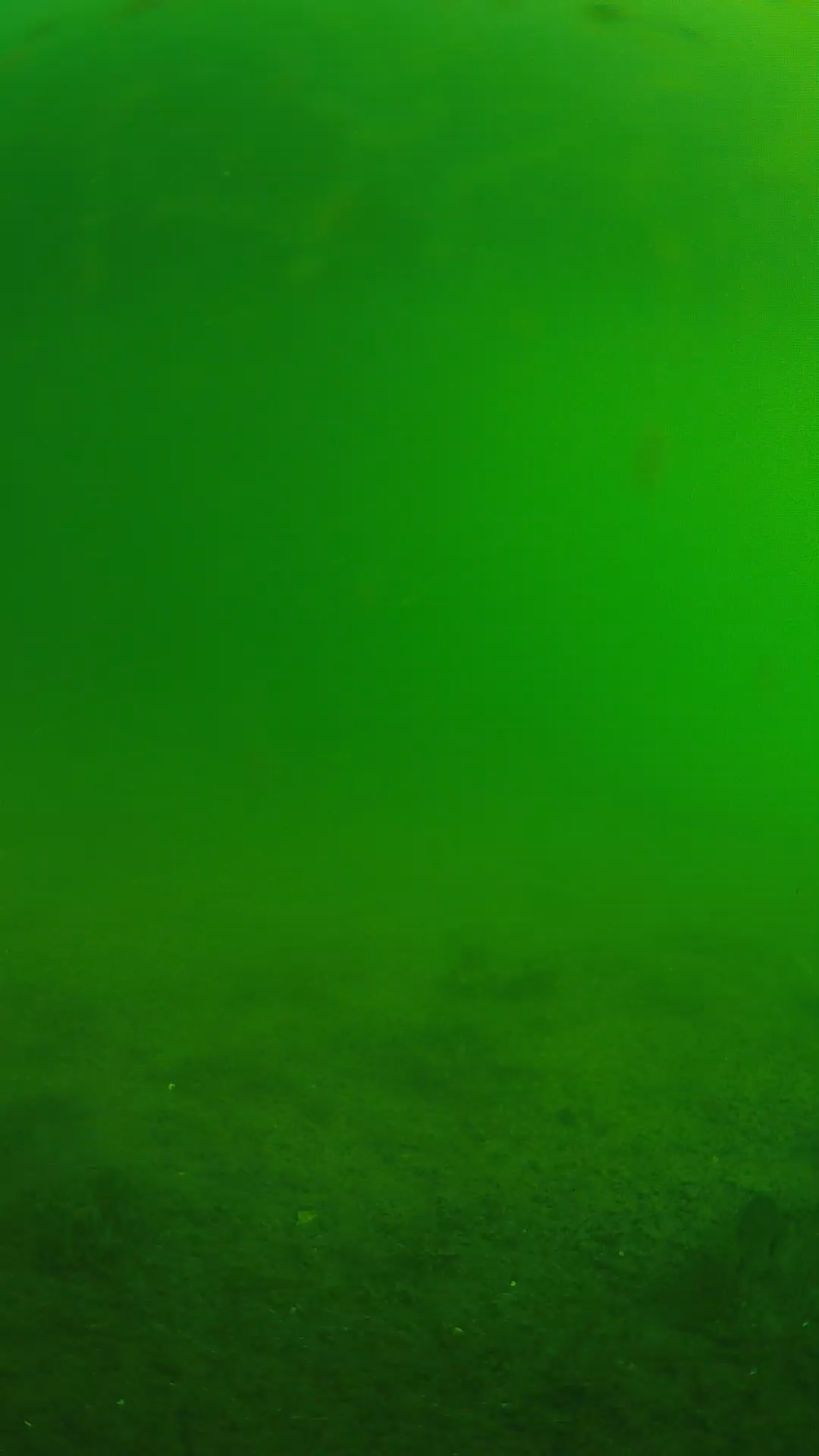 lander_ipcam_20240621073540.png