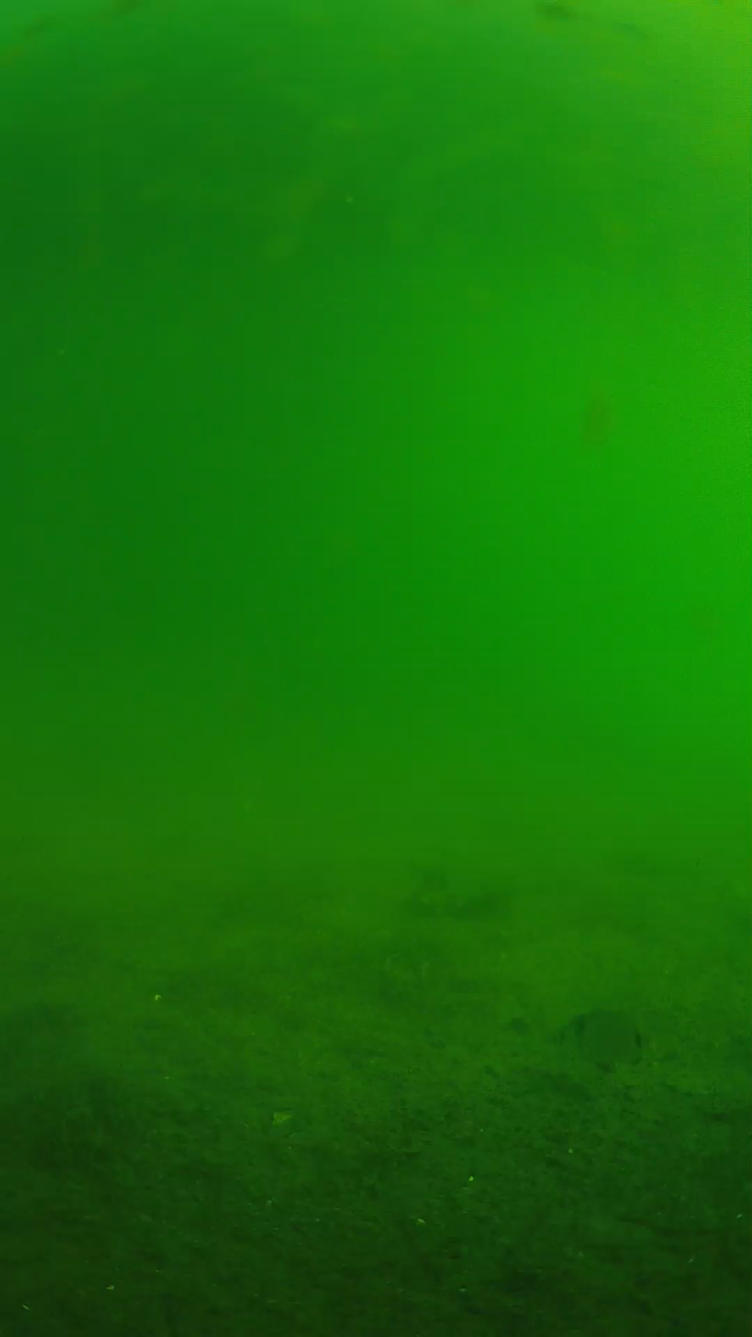 lander_ipcam_20240621073546.png