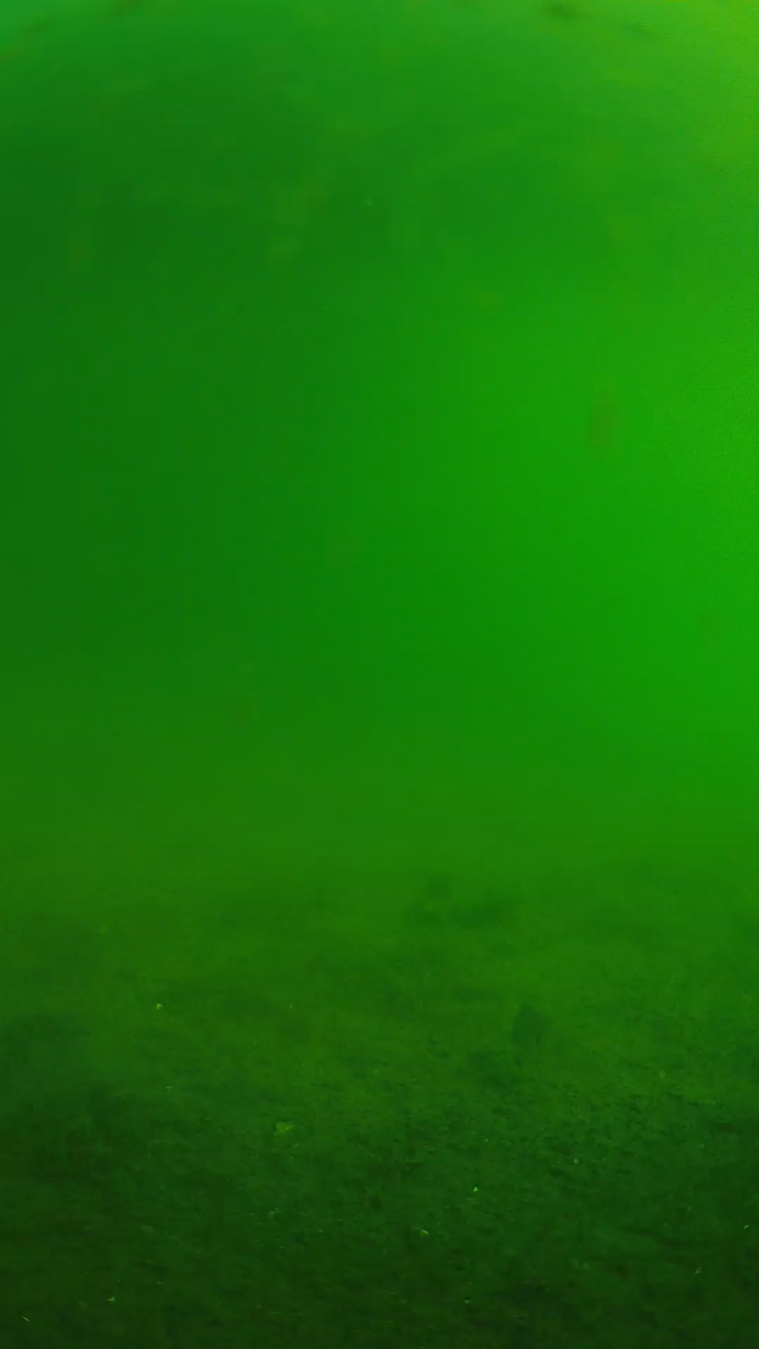 lander_ipcam_20240621073549.png
