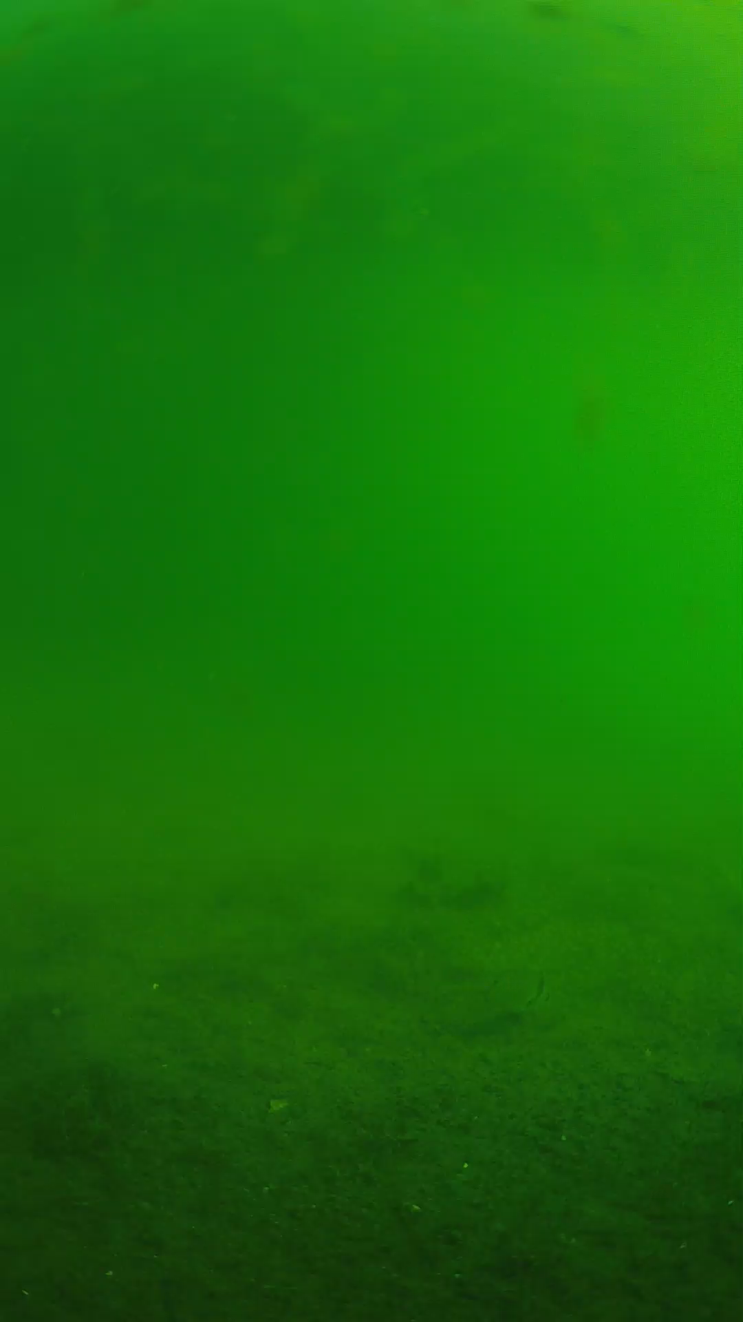 lander_ipcam_20240621073552.png