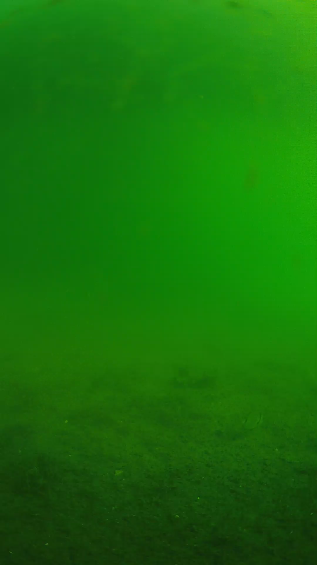 lander_ipcam_20240621073554.png
