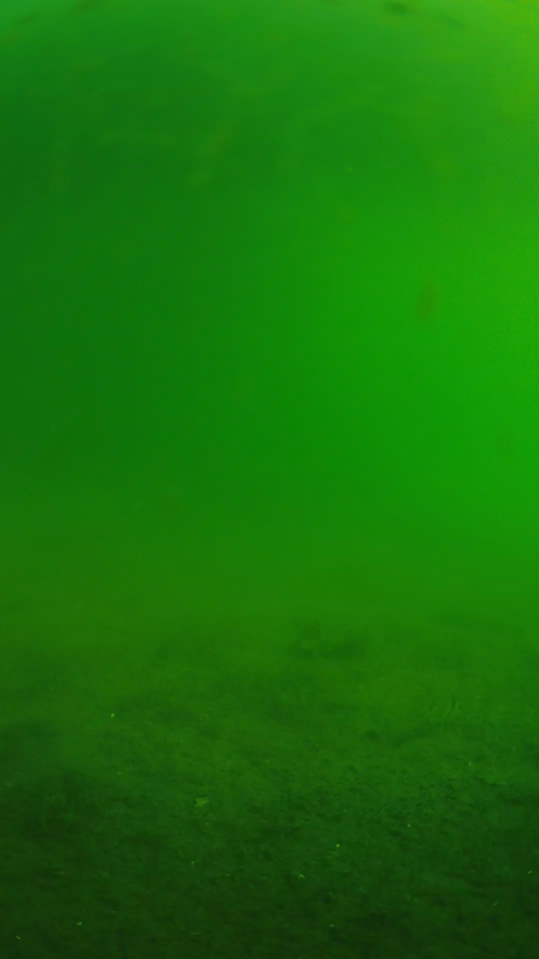 lander_ipcam_20240621073555.png