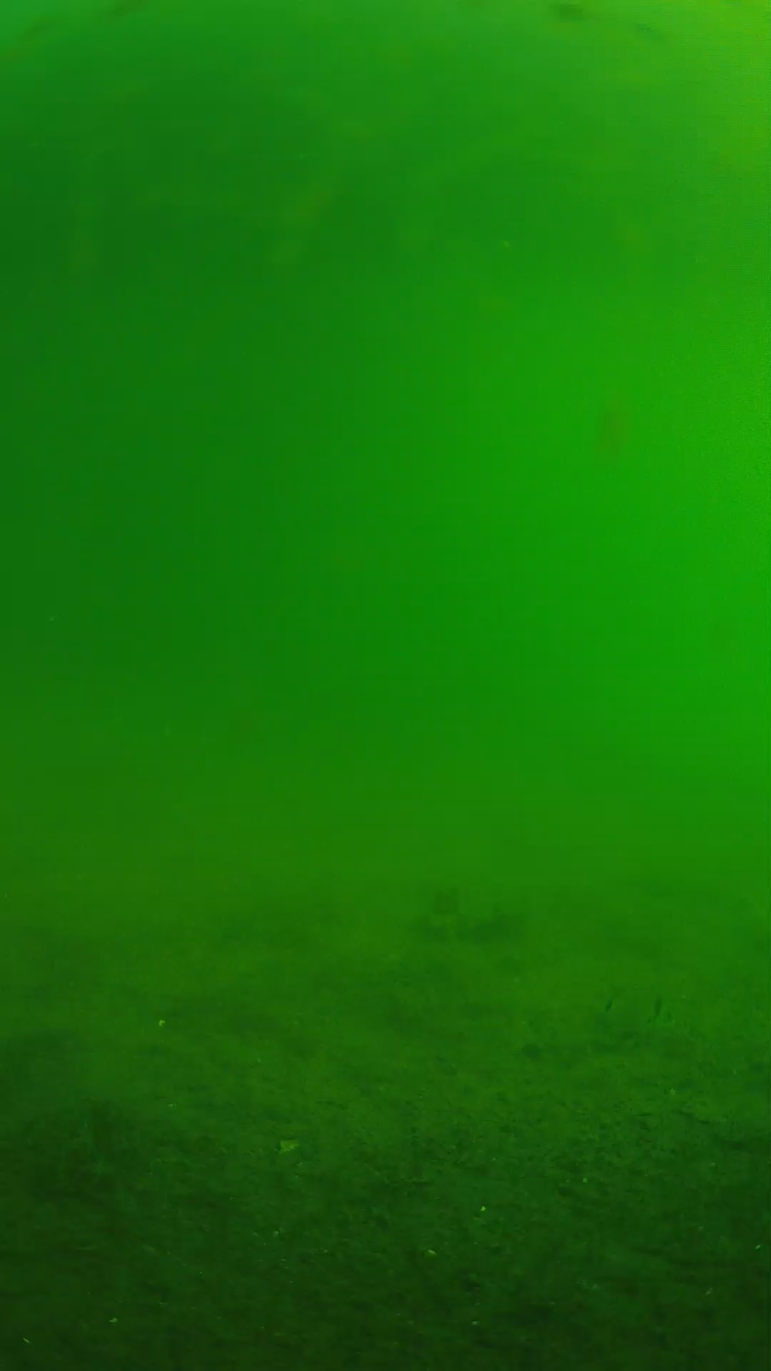 lander_ipcam_20240621073556.png