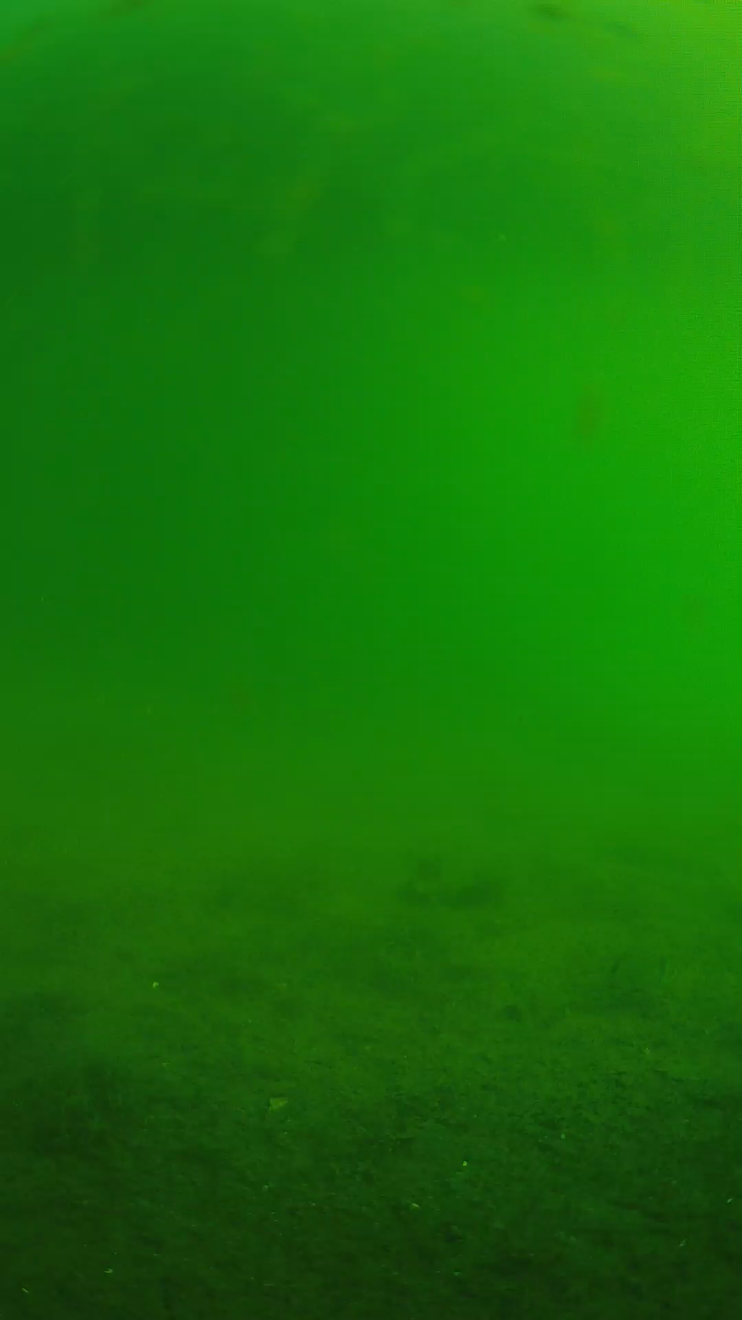 lander_ipcam_20240621073557.png